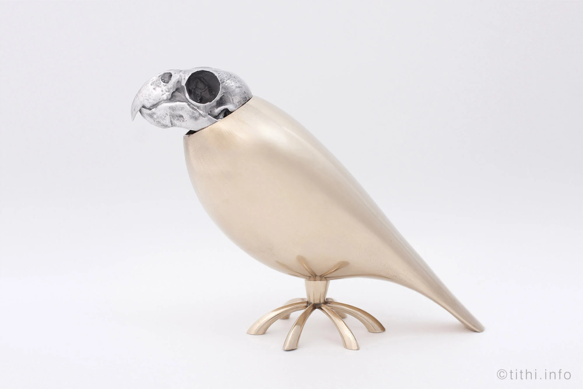Parrot01.jpg.jpg