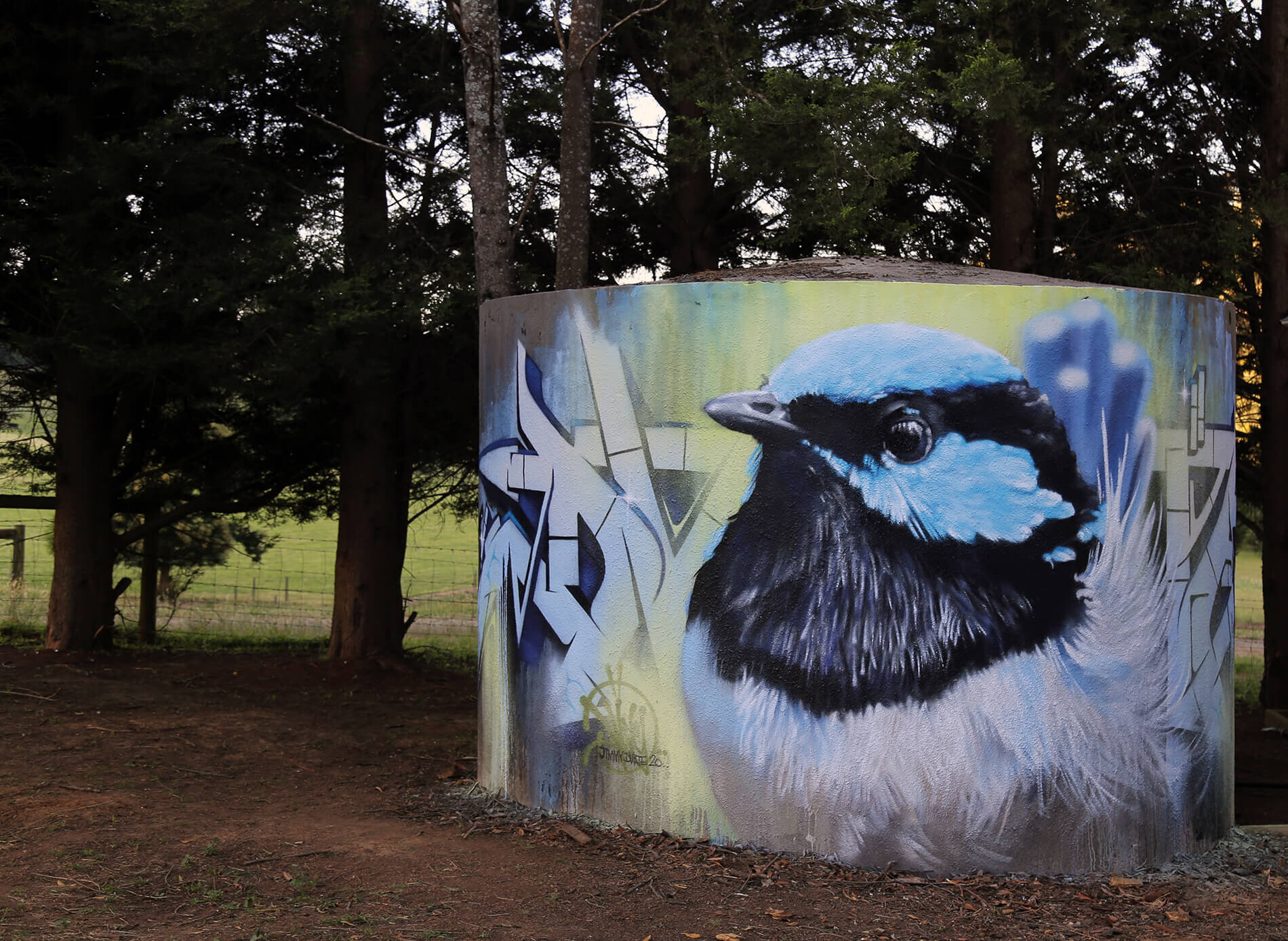 Superb Fairy Wren