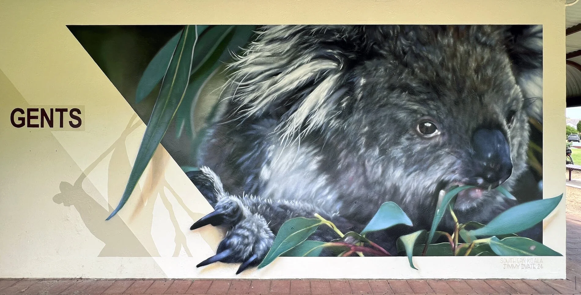 Koala