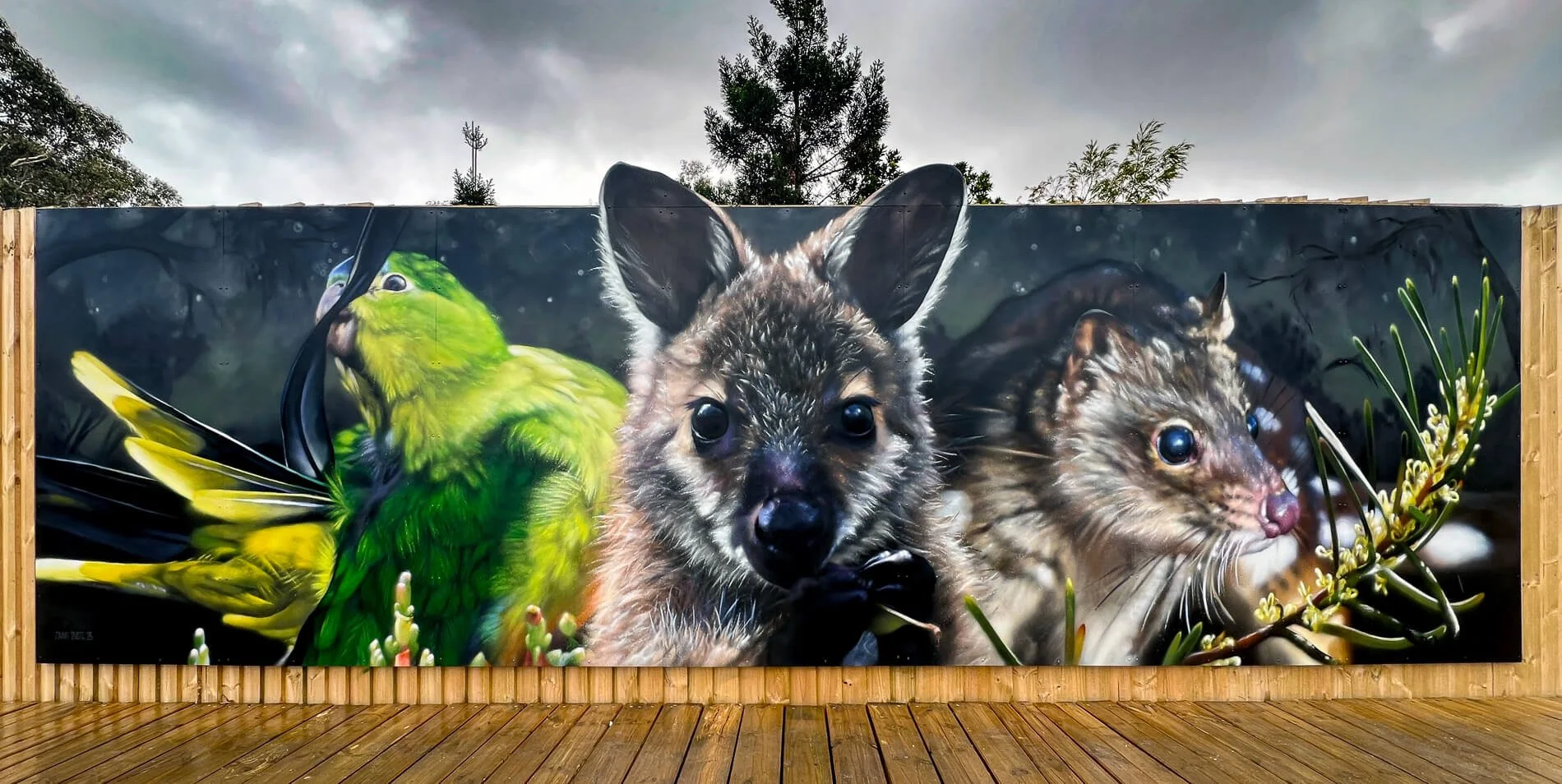 Orange Bellied Parrot, Wallaby, Quoll