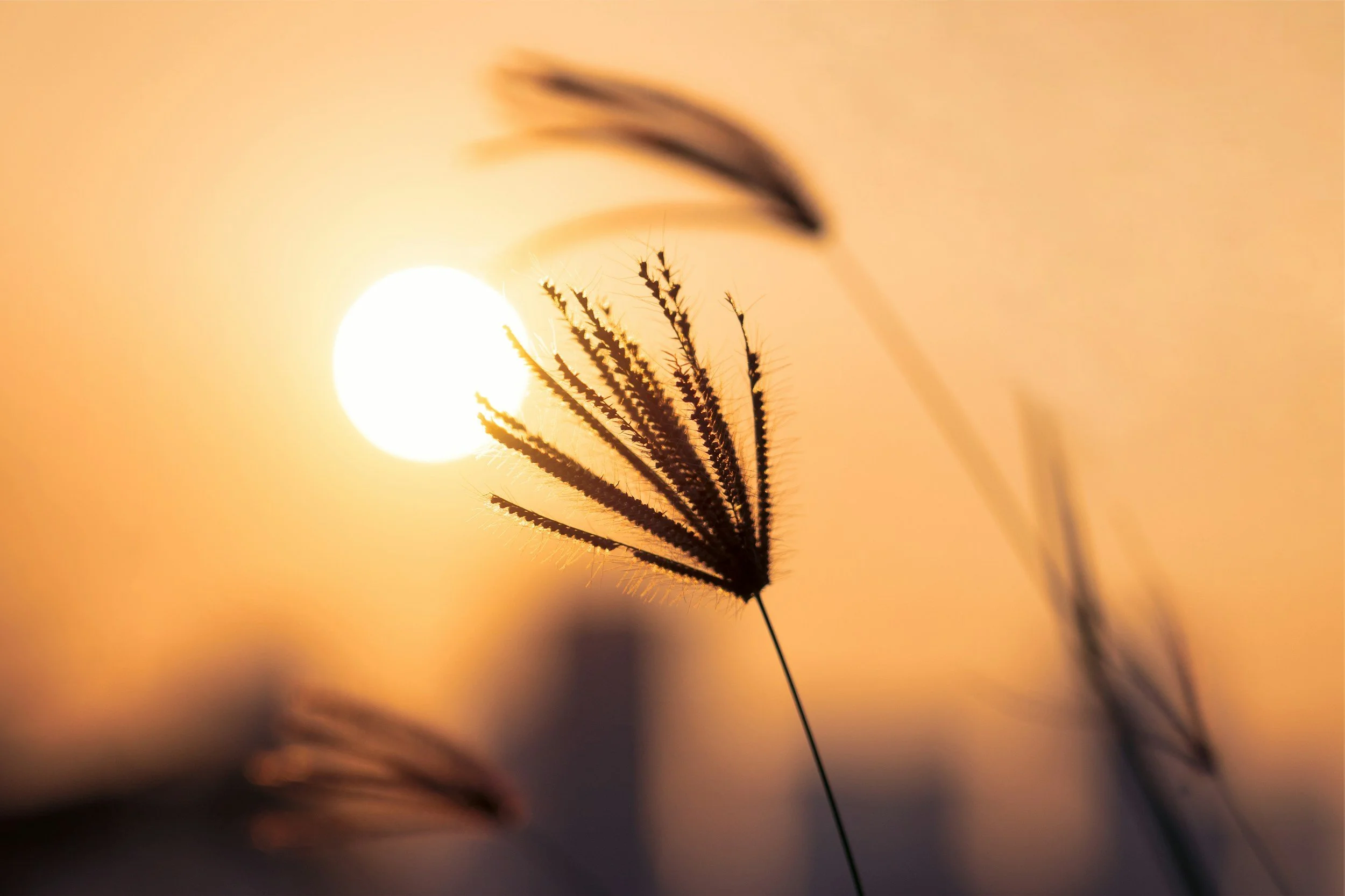 unsplash-image-KRIQ8aidIQE.jpg