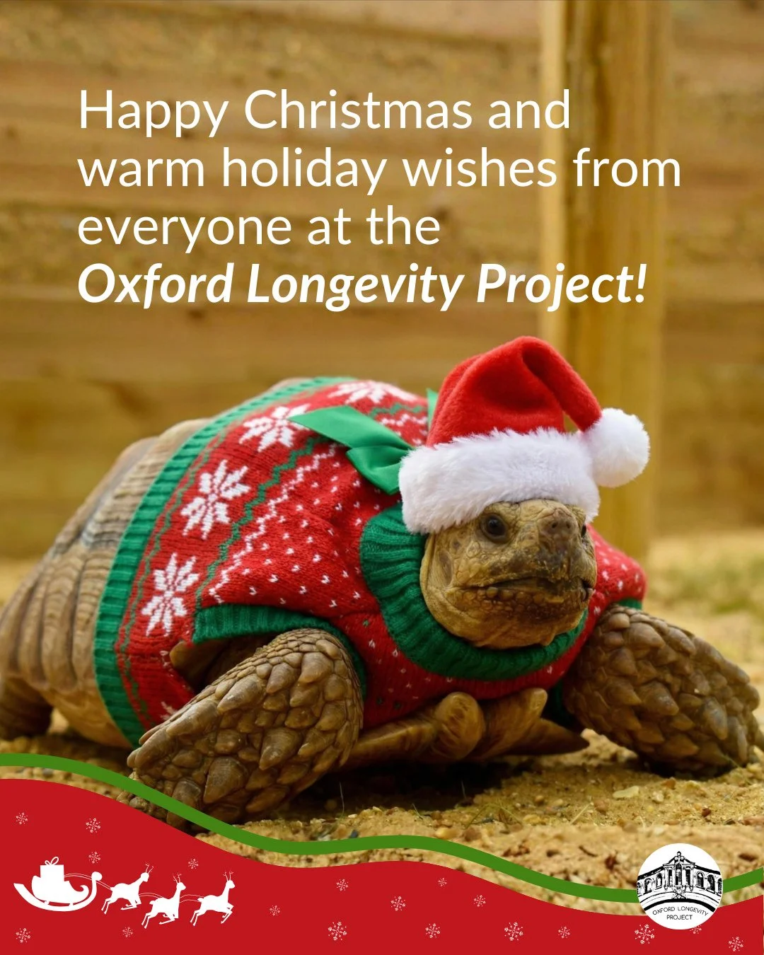 We extend our heartfelt thanks to our partners, supporters and community for your commitment to advancing healthy longevity.⁠
⁠
Wishing you a peaceful Christmas, a restorative holiday season and a new year filled with health and optimism.