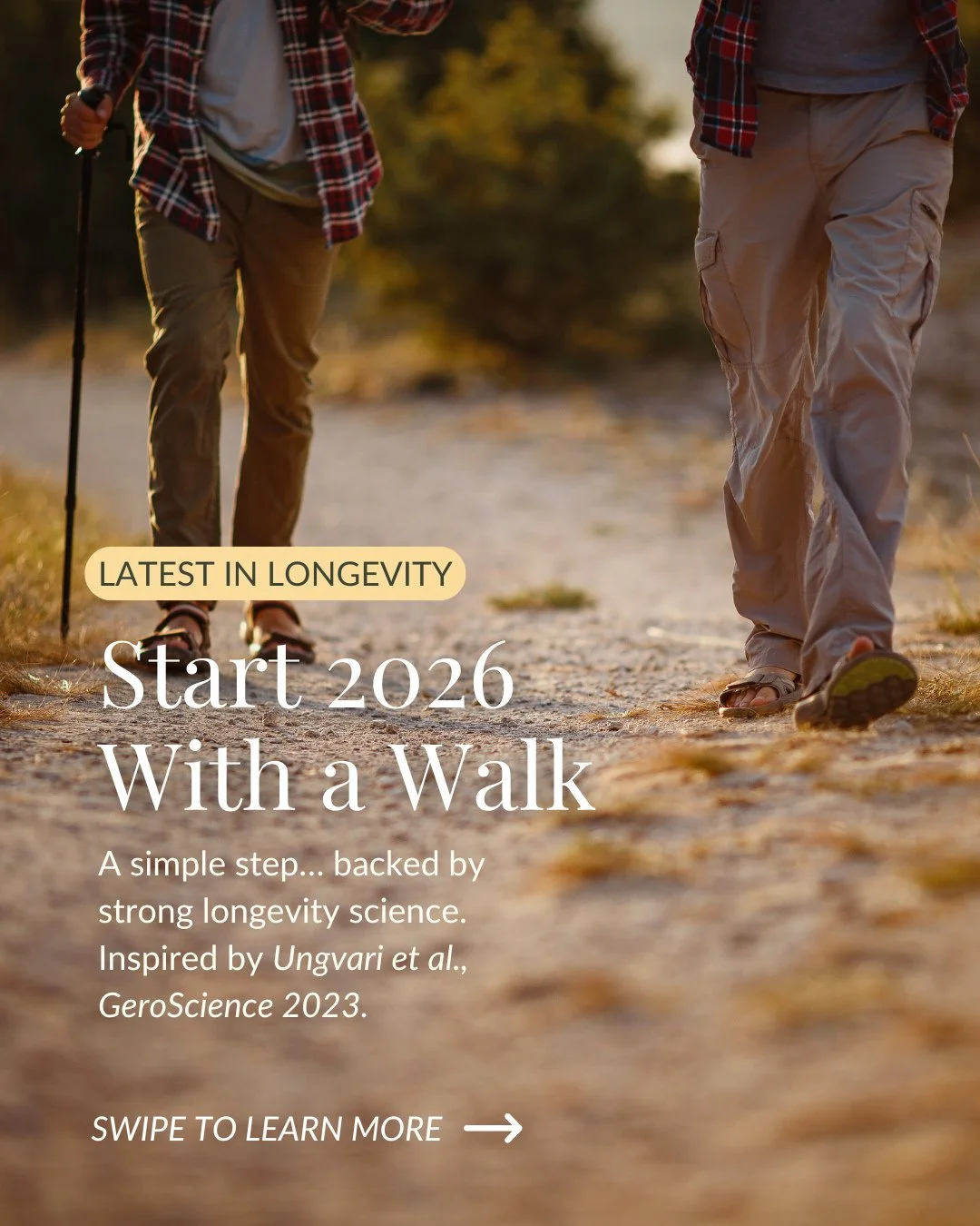 ✨ Start 2026 with a walk.⁠
⁠
It&rsquo;s one of the simplest, most powerful tools we have for supporting longevity &mdash; and the science backs it.⁠
⁠
A major review in GeroScience (2023) shows that regular walking can lower the risk of cardiovascula