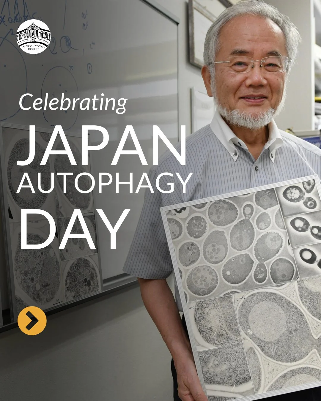 🔬 Celebrating Japan&rsquo;s Autophagy Day &mdash; and we&rsquo;re glad to revisit this incredible interview.⁠
⁠
In this fascinating conversation, our Co-founder Professor Denis Noble sits down with Nobel Laureate Professor Yoshinori Ohsumi, whose re