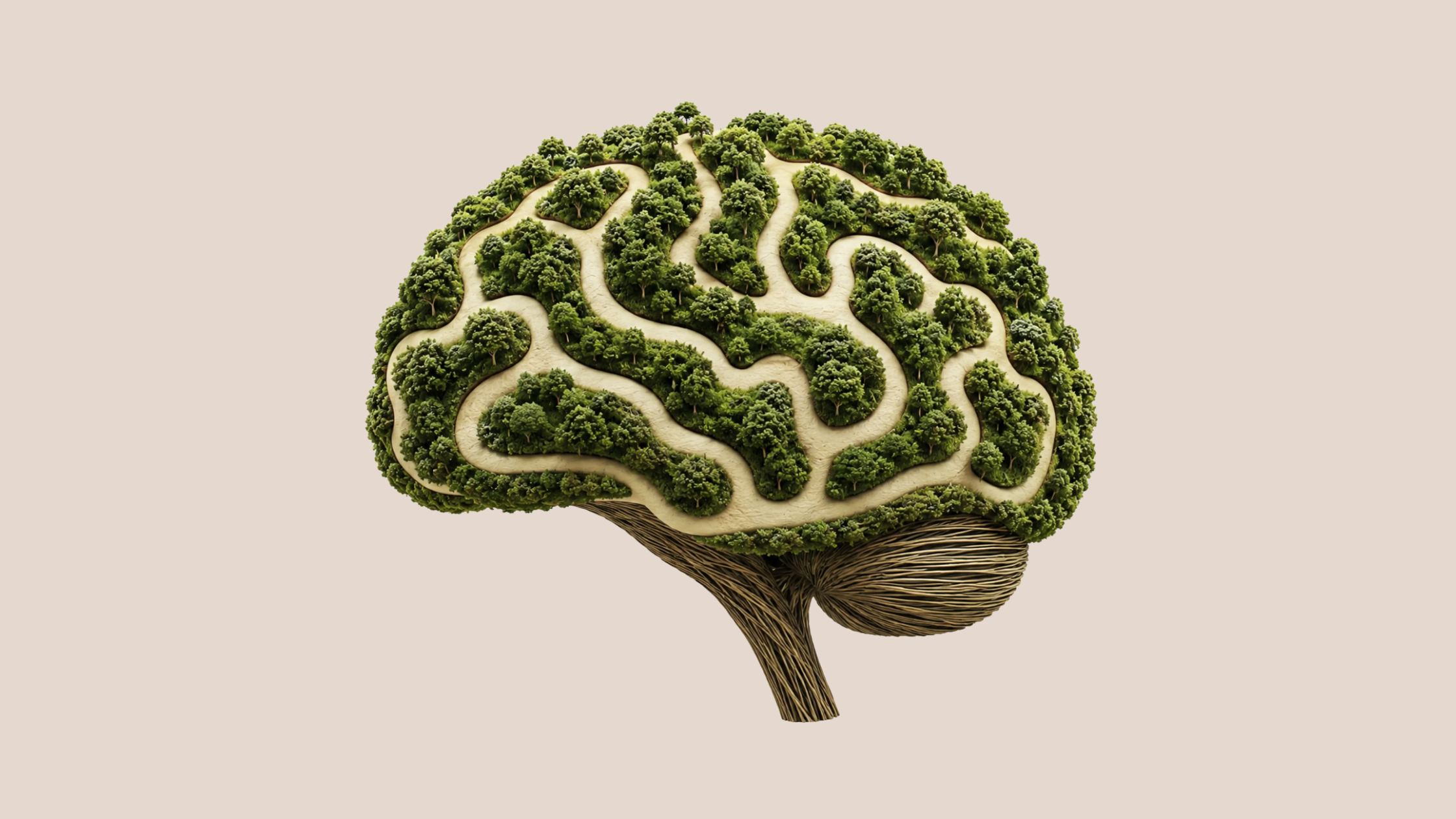 Dementia is not inevitable