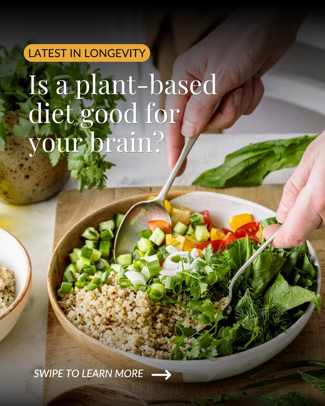 A plant-based diet isn&rsquo;t automatically protective, quality is what determines the outcome 🌱⁠
⁠
This large study shows that whole, nutrient-dense plant foods are linked to lower dementia risk, while ultra-processed, high-sugar &ldquo;plant-base