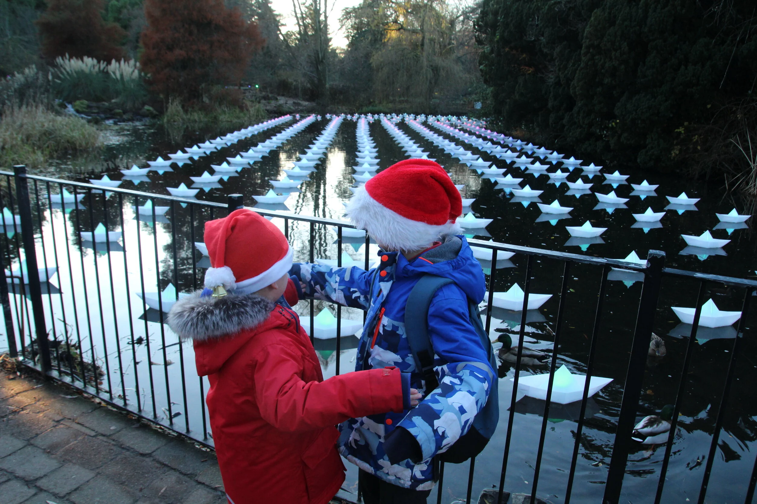Winter at the Botanics (Project 52: 45/52)