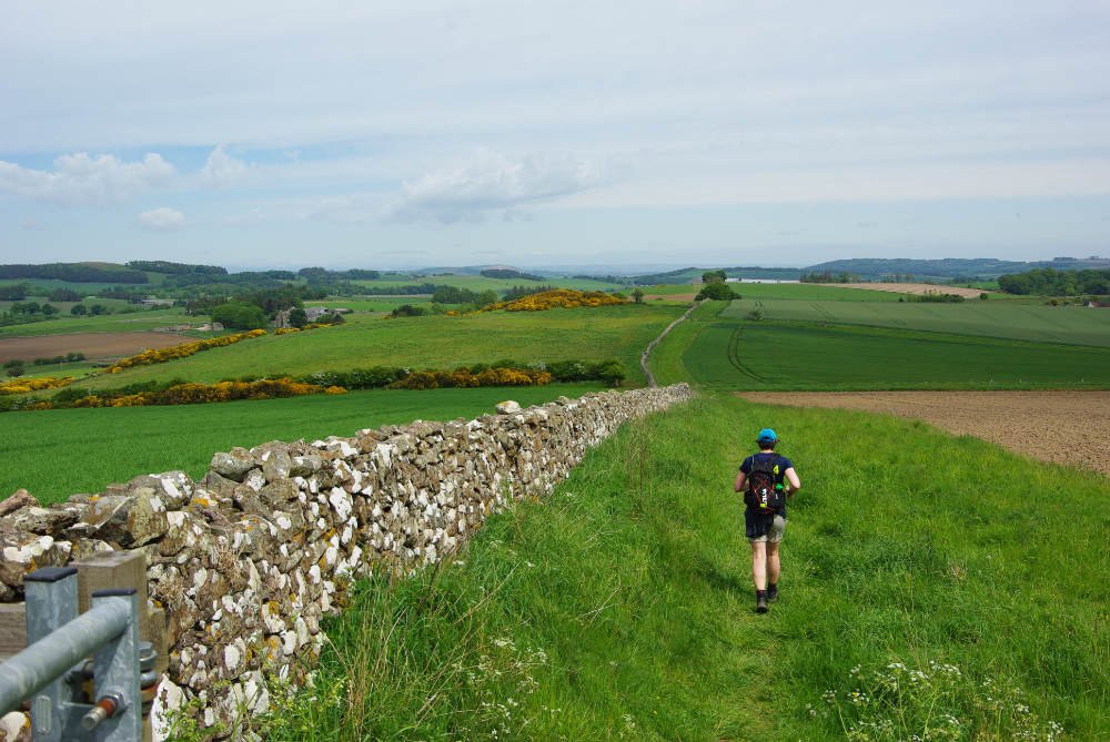 Runner making their way along the Fife Pilgrim Way Ultra Marathon route, surrounded by rolling Fife countryside and scenic views