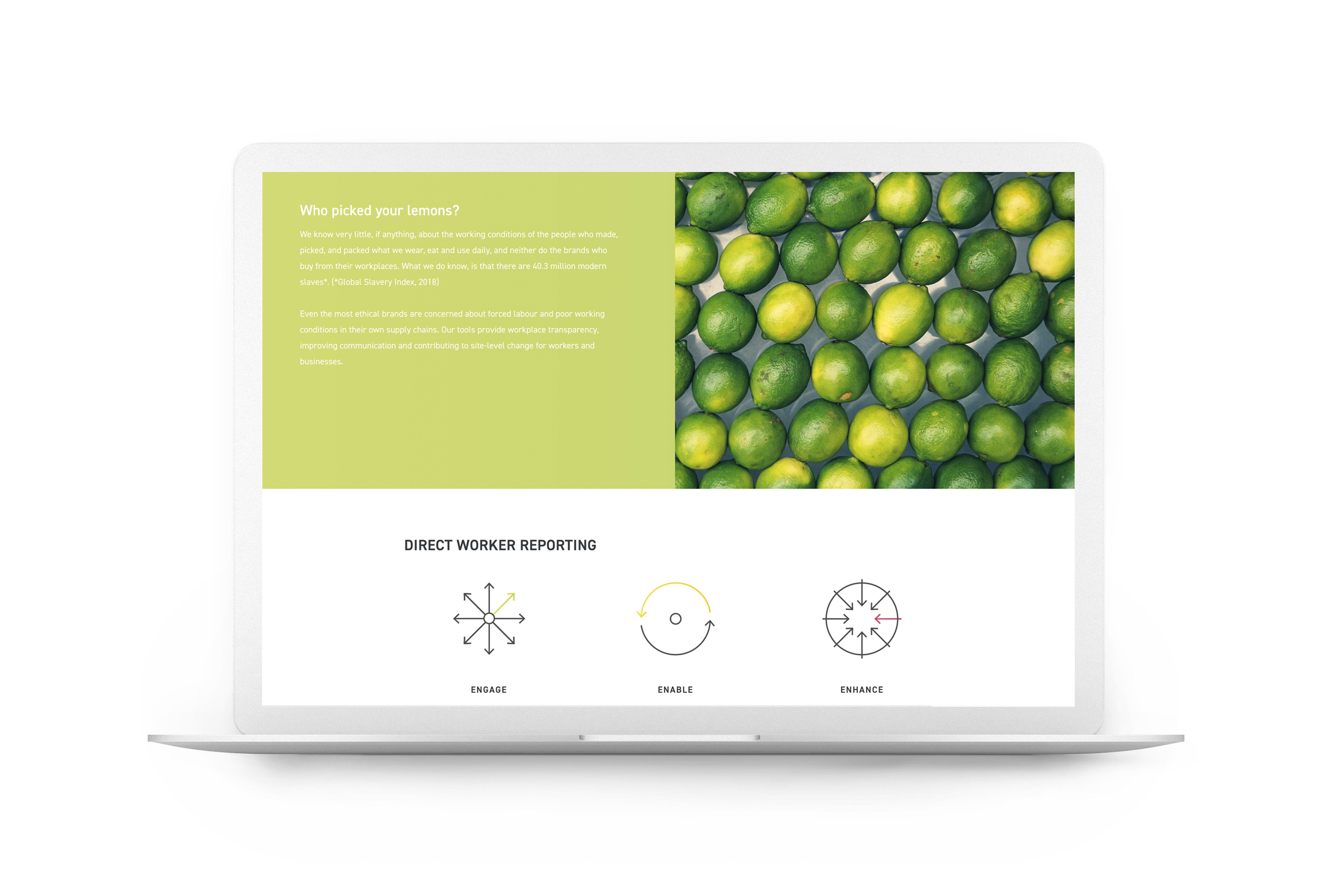 andwider_websitescreen1.jpg