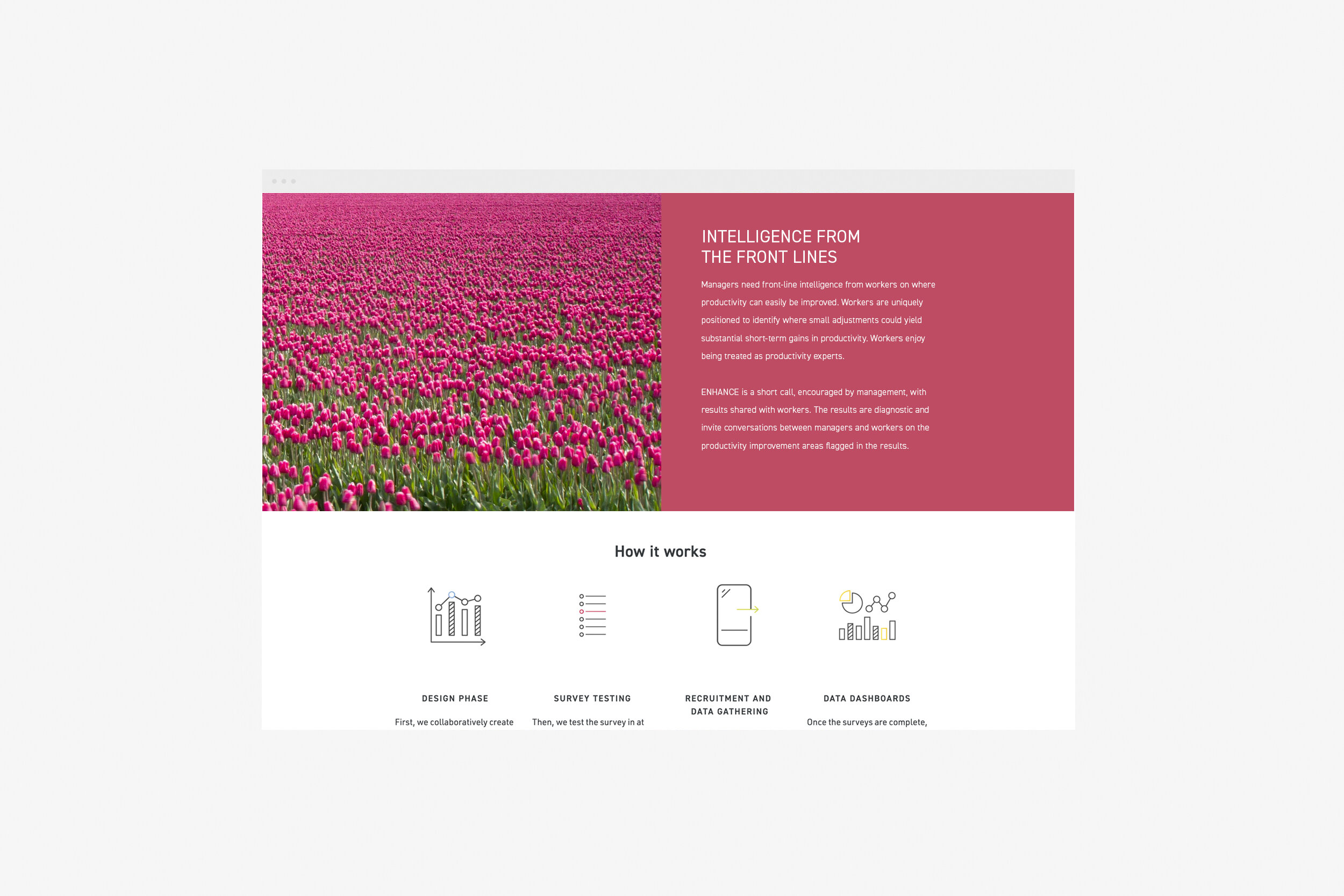 andwider_websitemockup_3a.jpg
