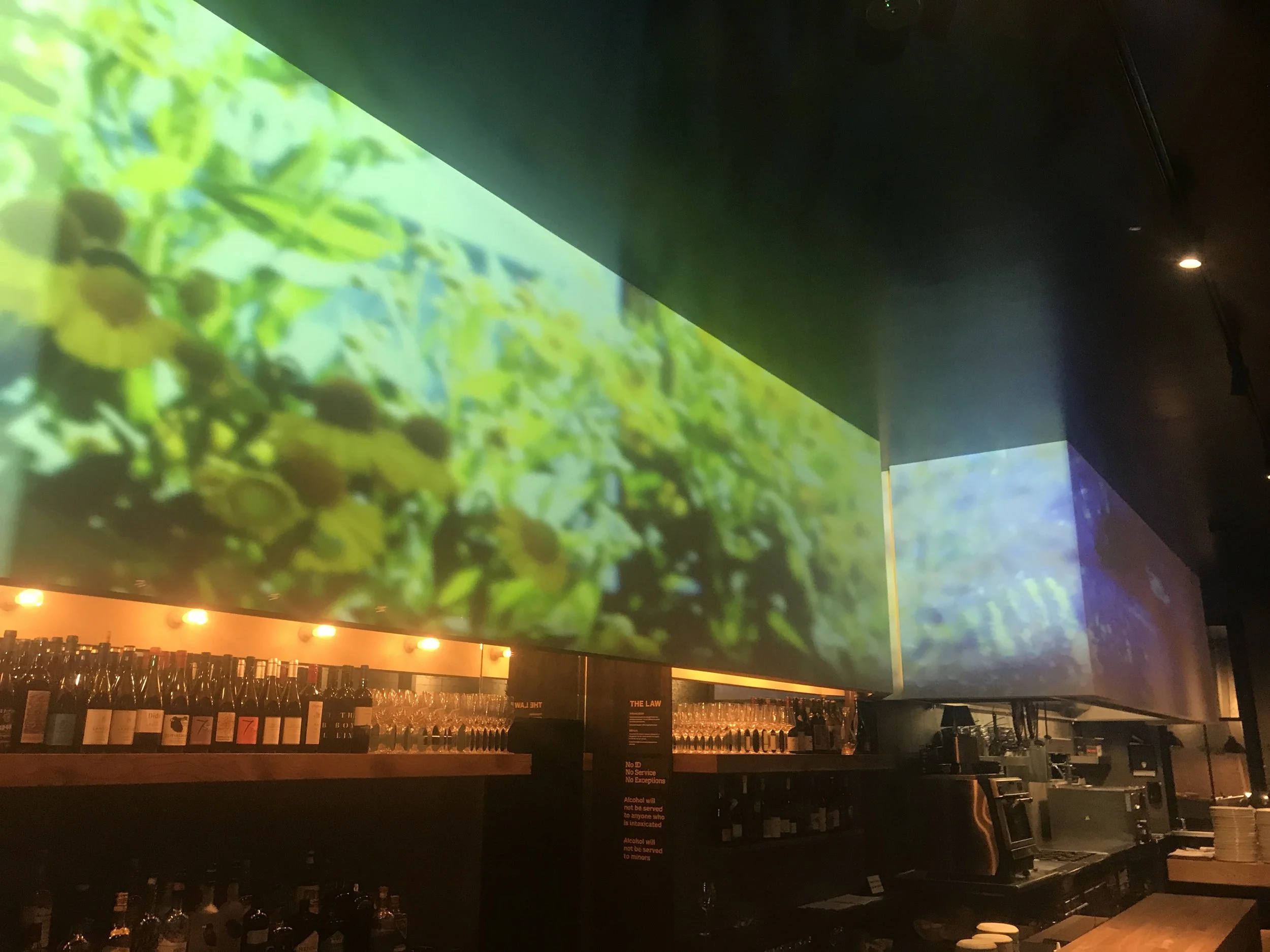 2019-08-01 00.03.59-1.jpg