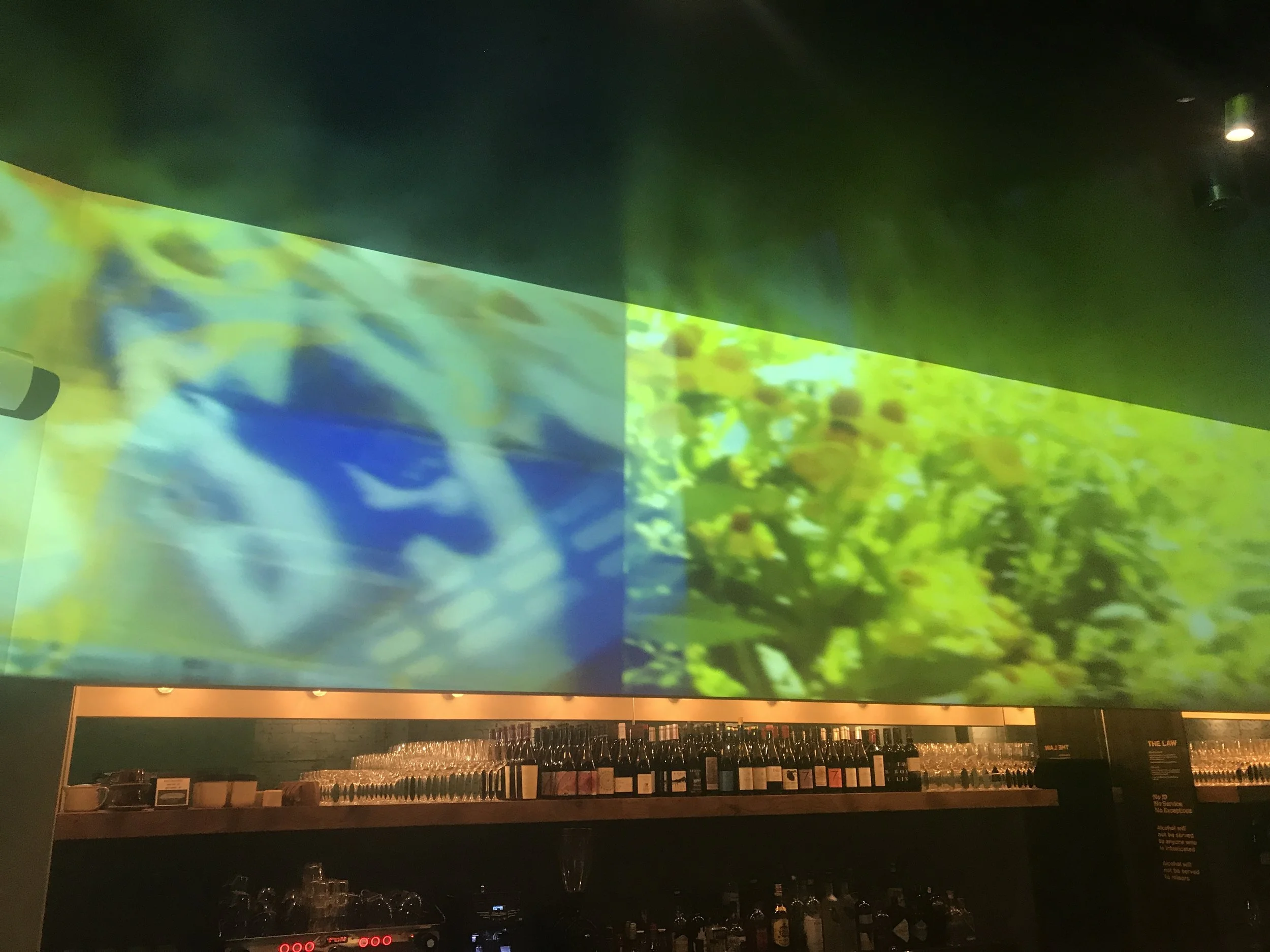 2019-08-01 00.03.49-1.jpg