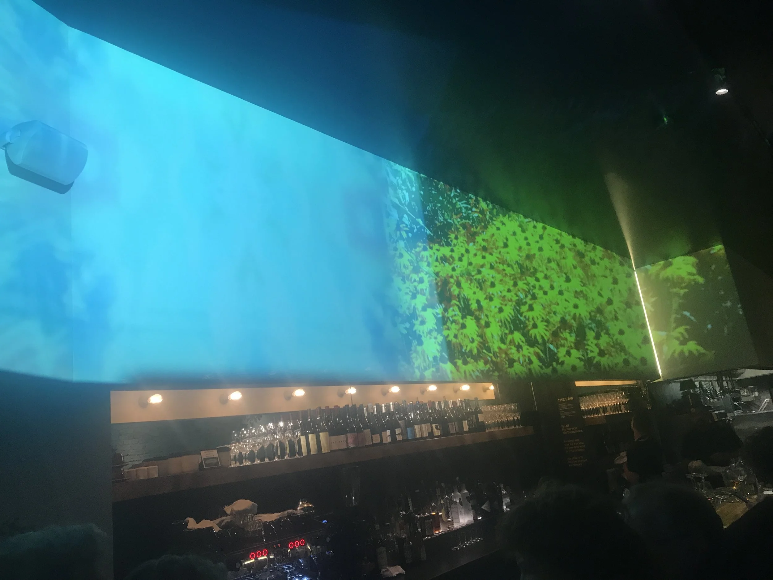 2019-08-04 22.20.44.jpg