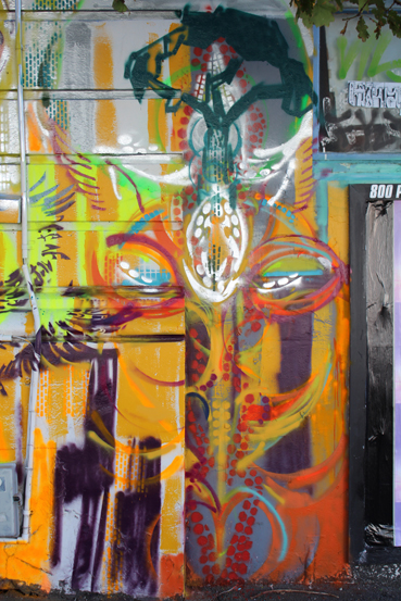 tree forest tree ture.jpg