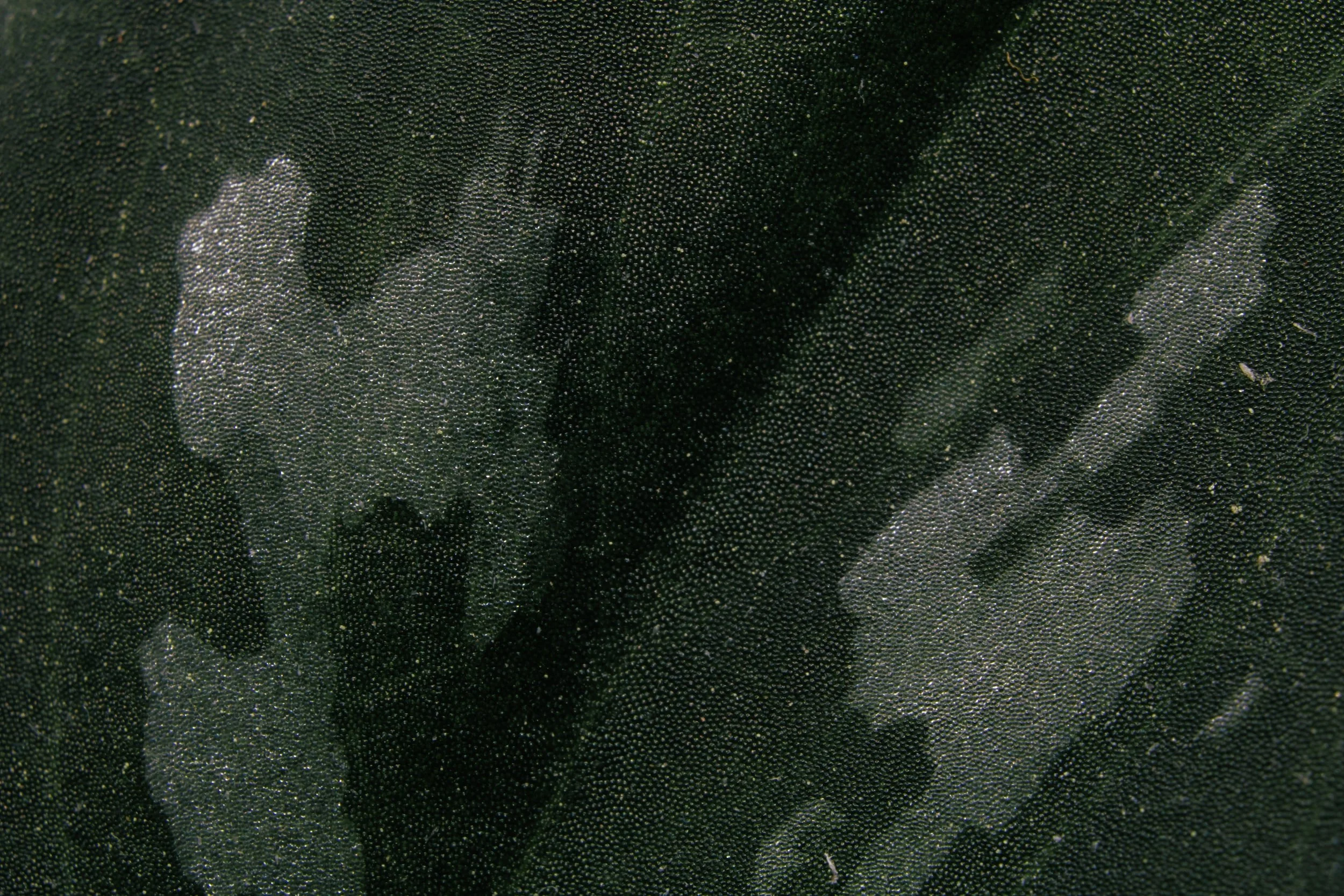 unsplash-image-1I0JgqetXvQ.jpg