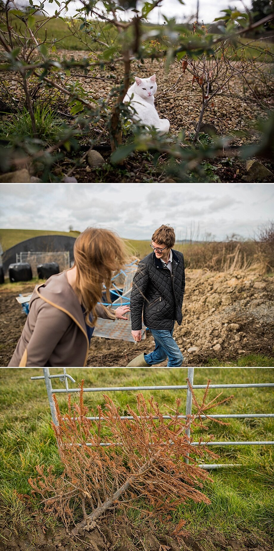 Engagement Shoot On Farm Northern Ireland_0014.jpg