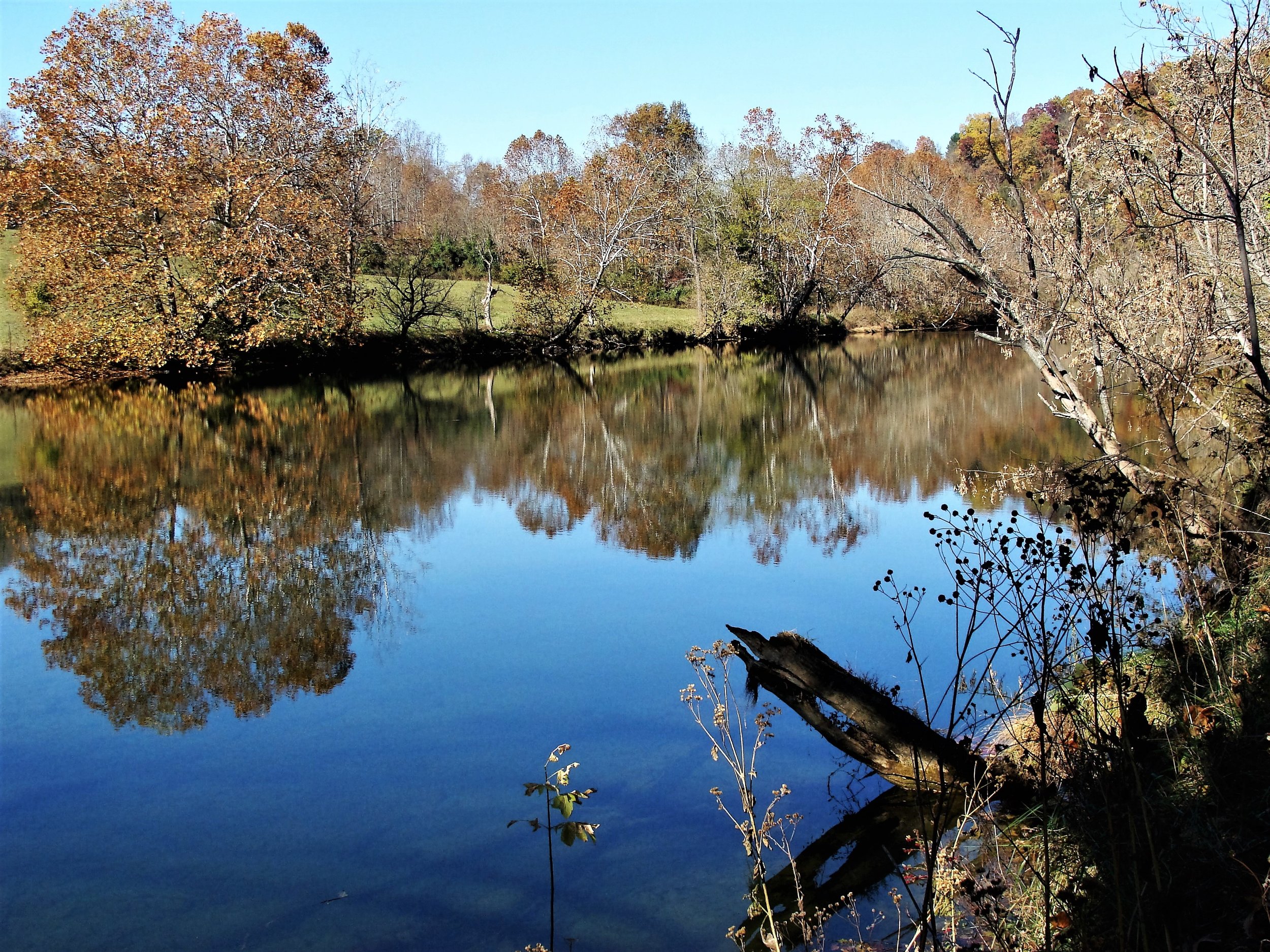 Maury River in front of Farm.JPG