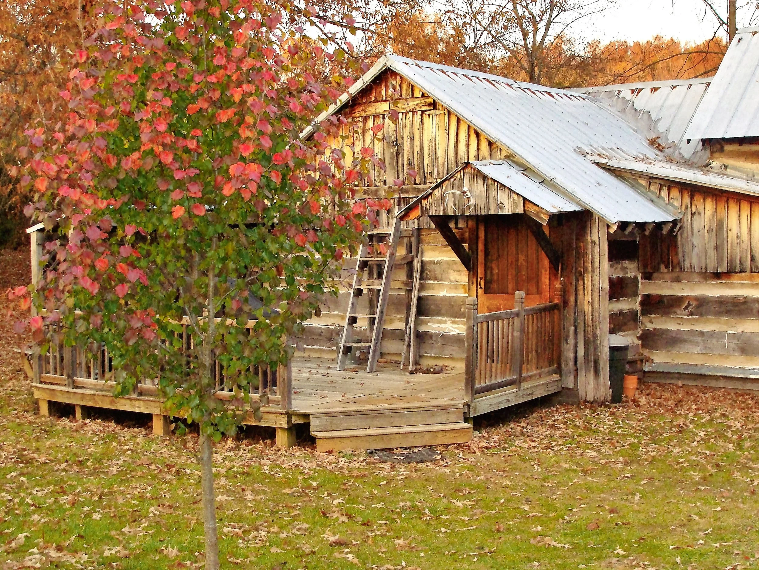 Antonia Albano | Homesteaders Cabin in FALL.JPG