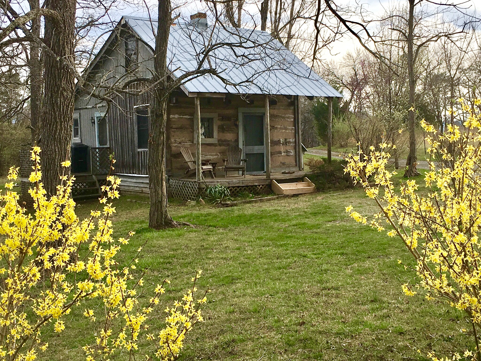 Antonia Albano | Writer's Retreat | Cabin | Spring.jpg