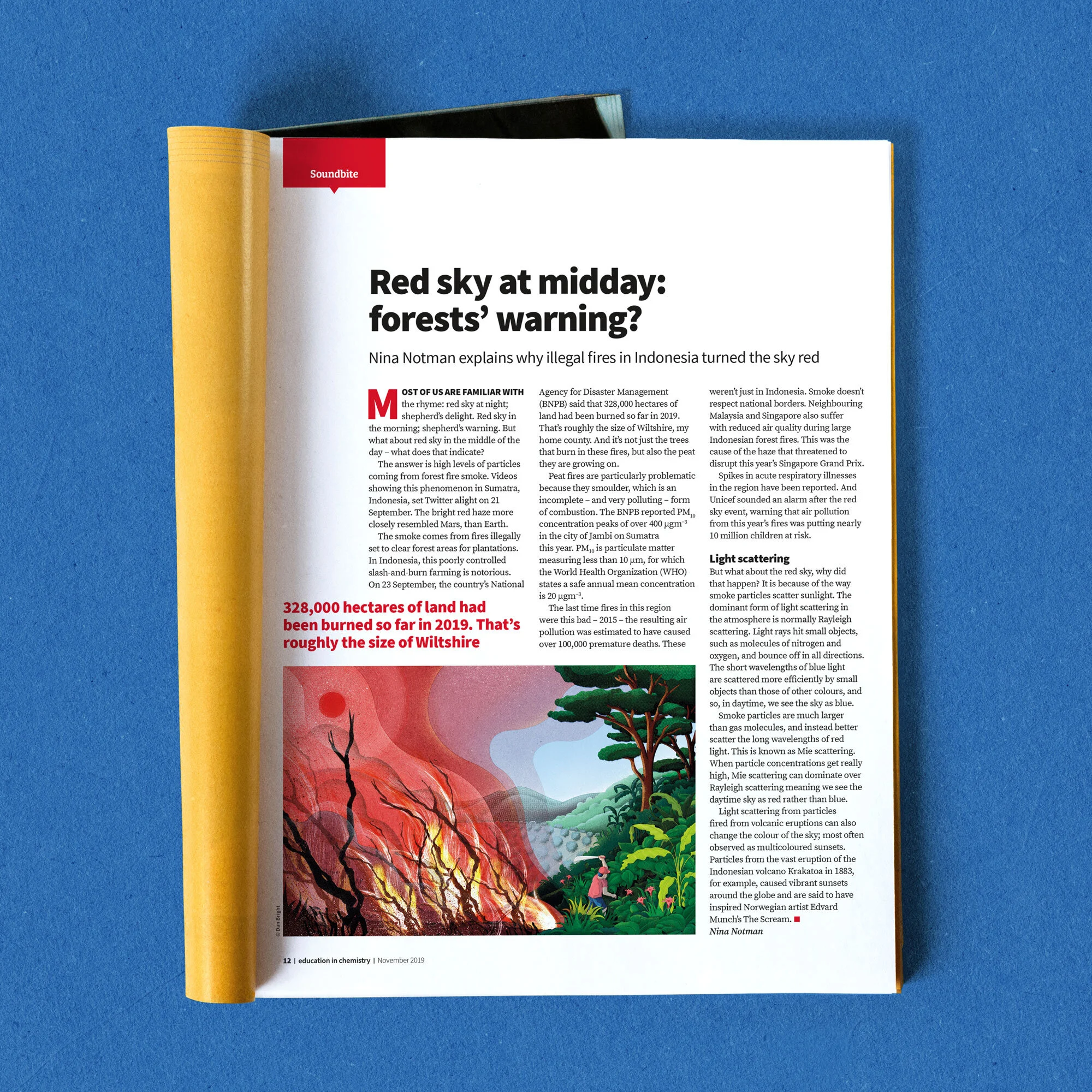 A photo of a magazine page showing an illustration about the environmental effects of slash and burn forest clearance, for Palm oil farming.