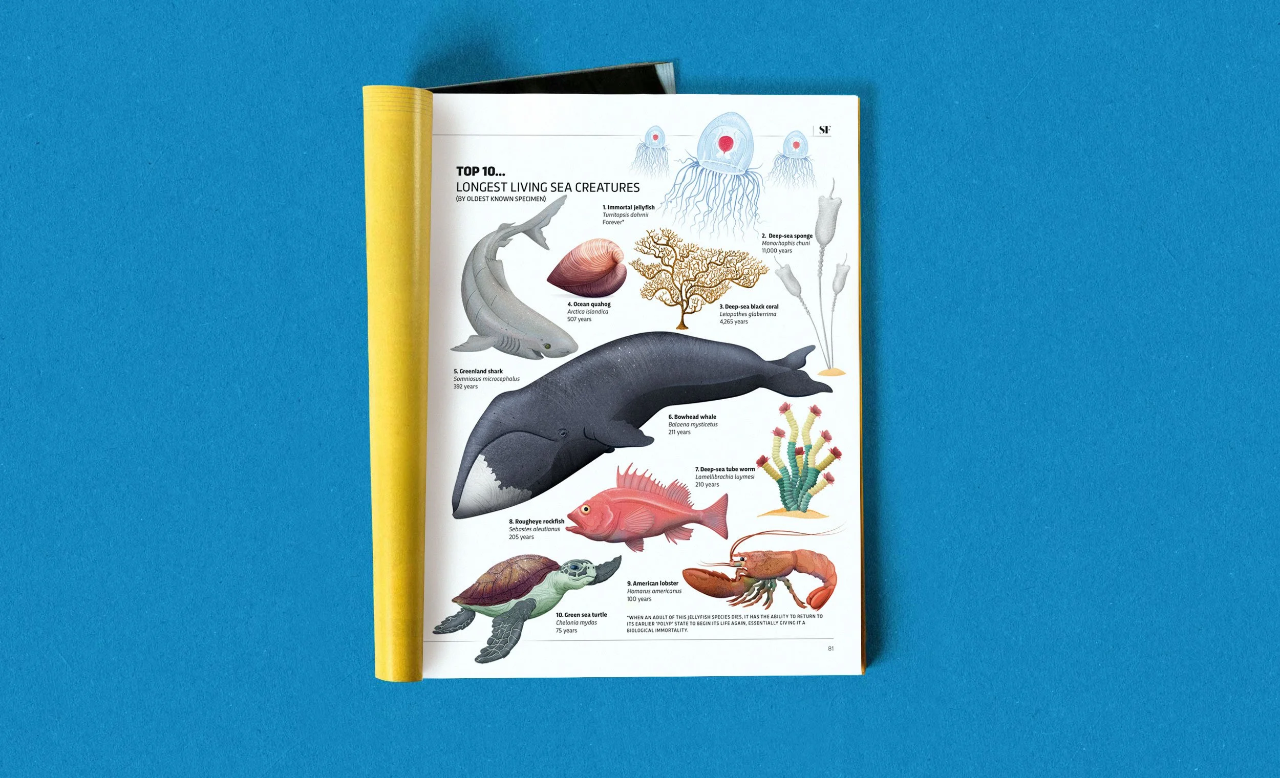 A photo of a magazine open at a page showing illustrations of the 10 longest lived sea creatures.