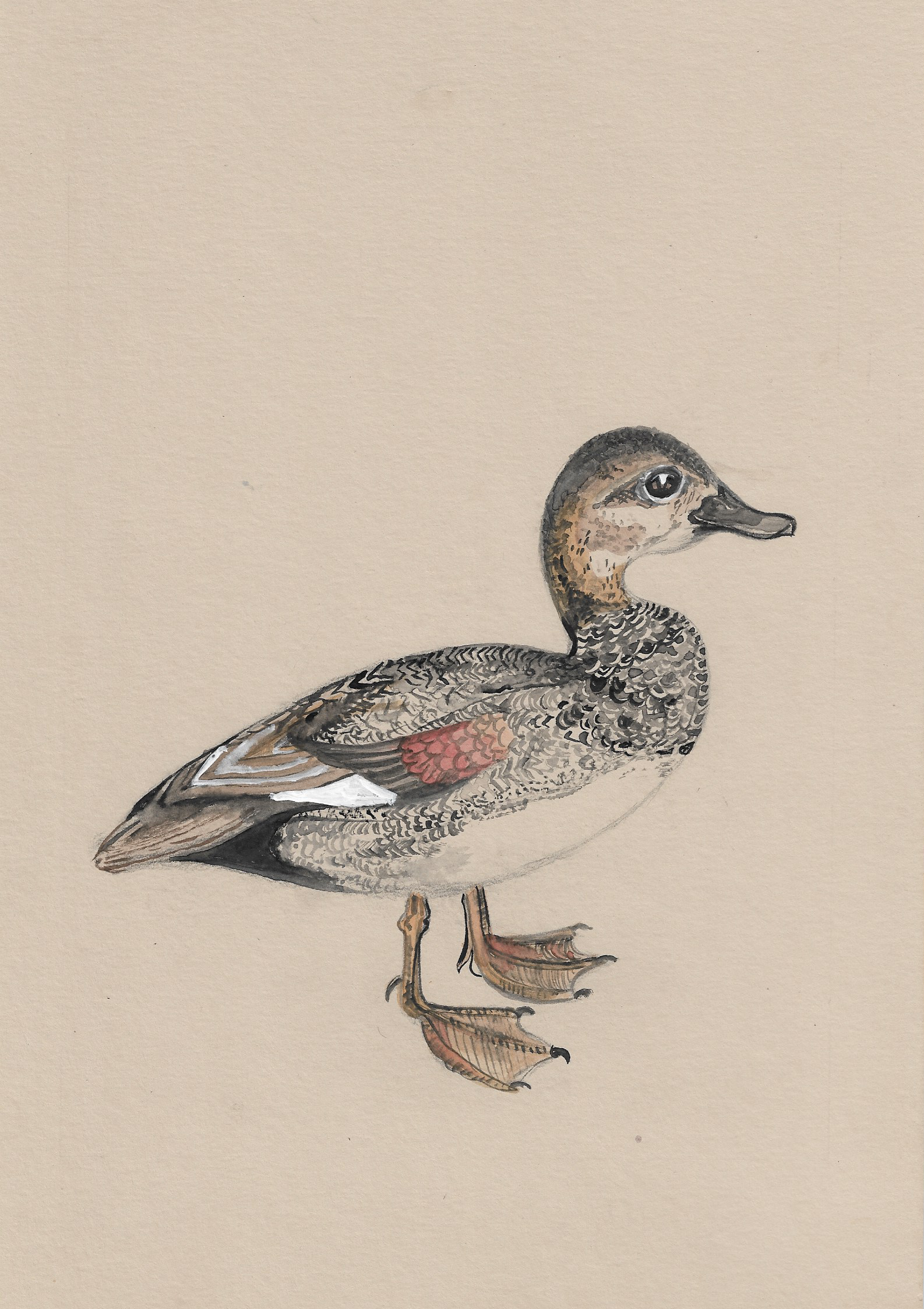 Delilah The Duck.png