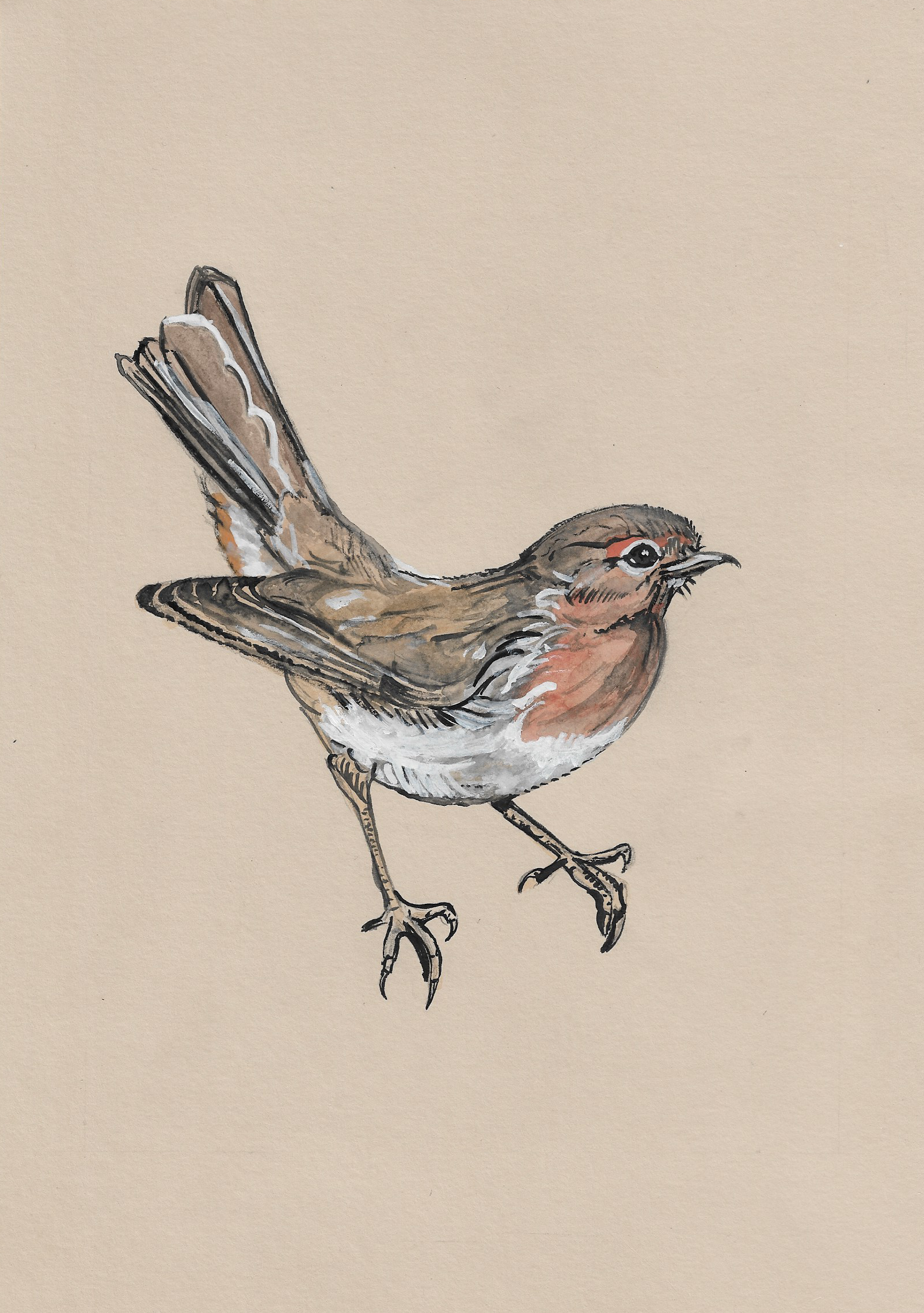 Ruby The Robin.png