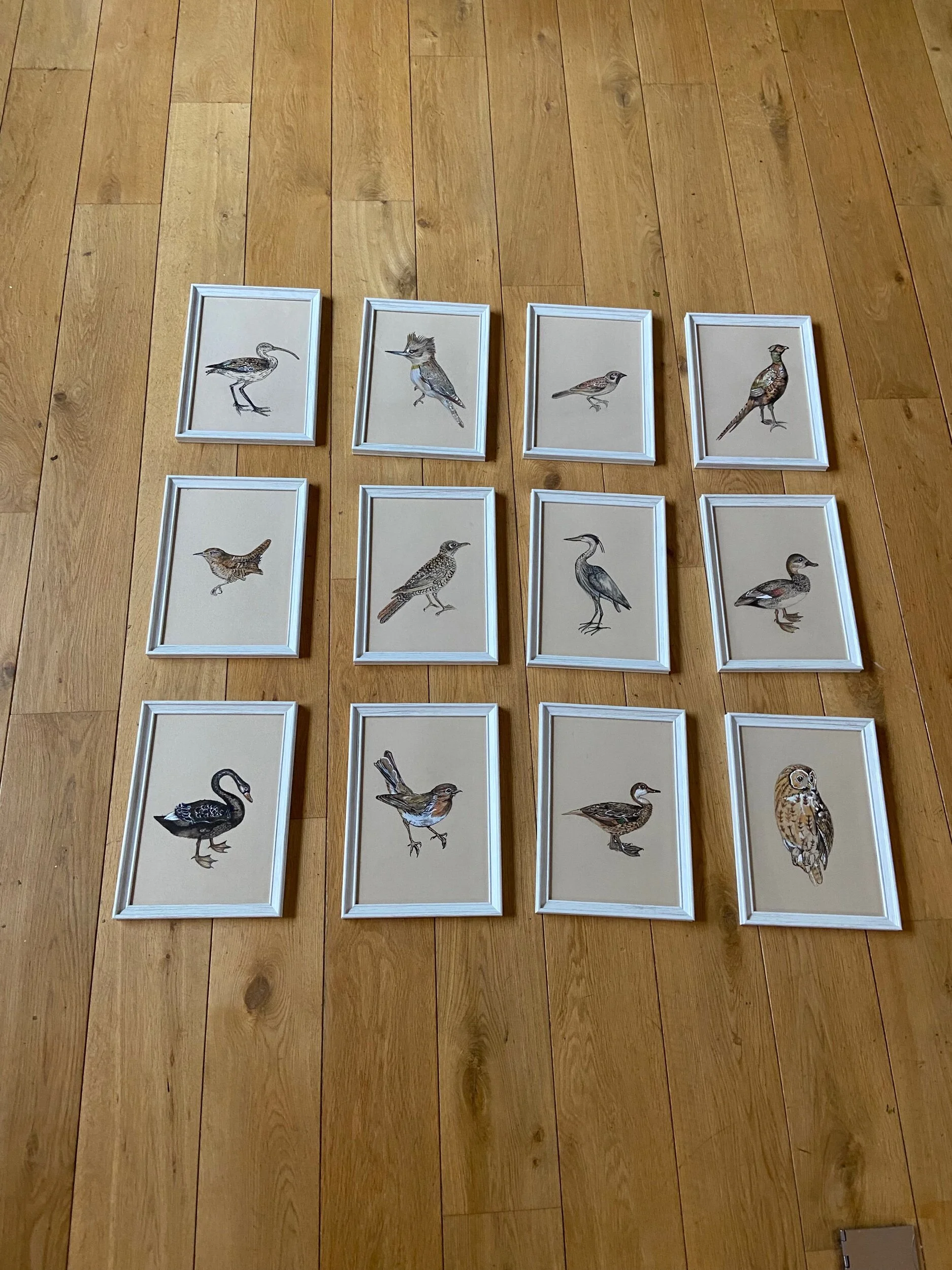 C1AE43D4-B327-41C3-86A6-DE87FF0C891B