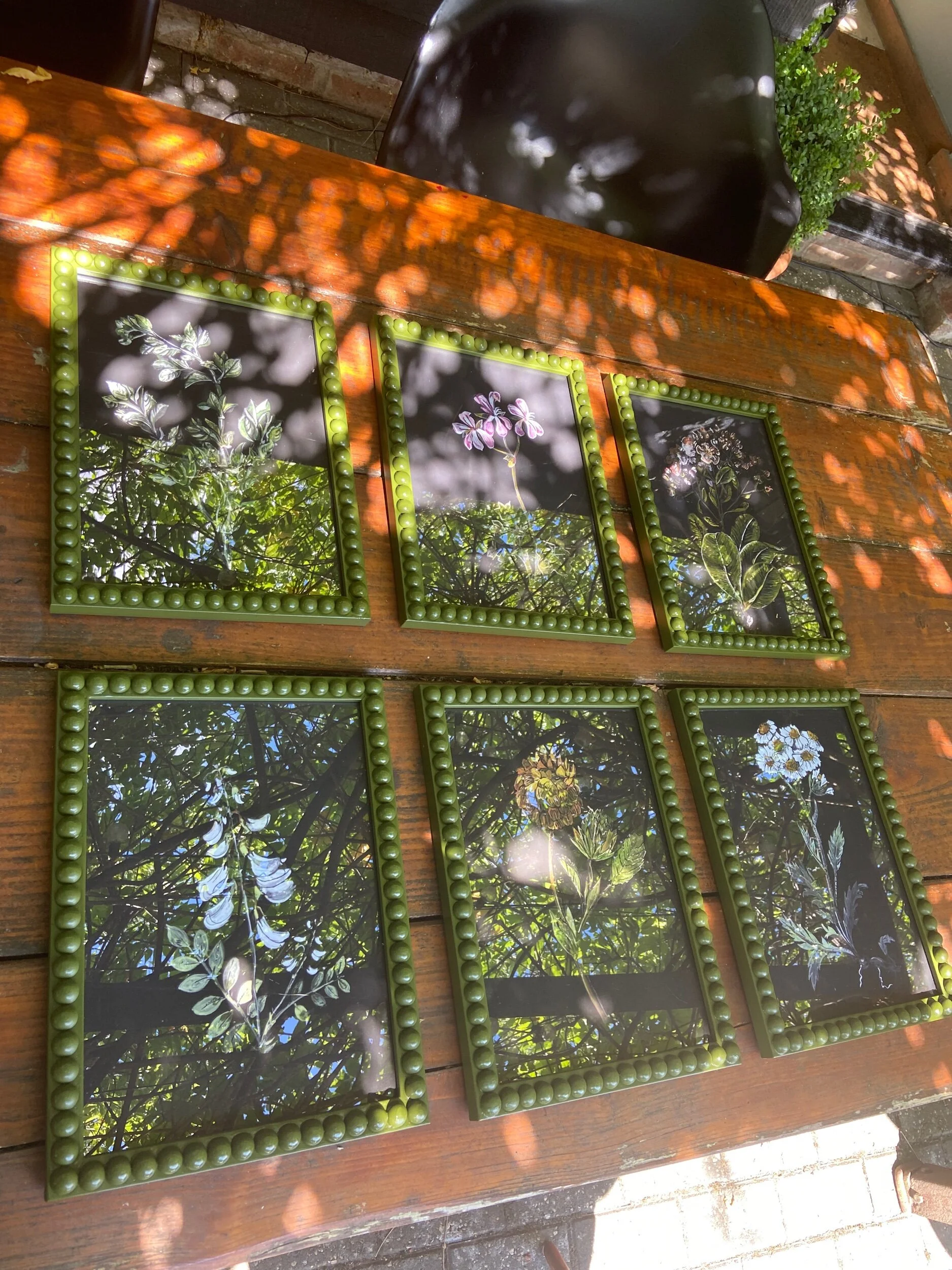 2B48B72C-3A96-48FF-8210-6E0A26094D25