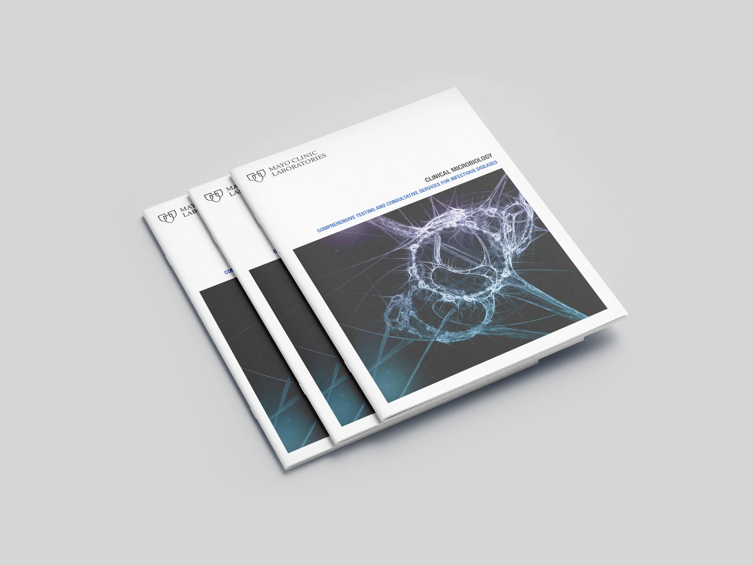 Specialized Labs — Create To Inspire