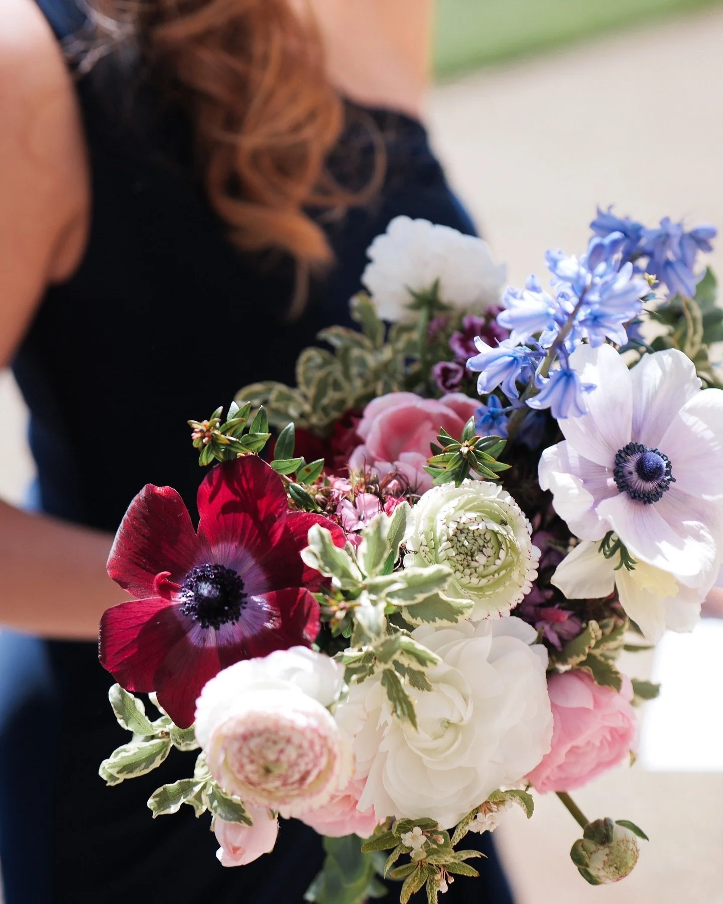 Look at those anemones opening up! These are long gone for the year and so are most of the ranunculus! Usually there&rsquo;s still lots of ranunculus available in May but this years sunny weather has meant most have already finished for the year. 

P