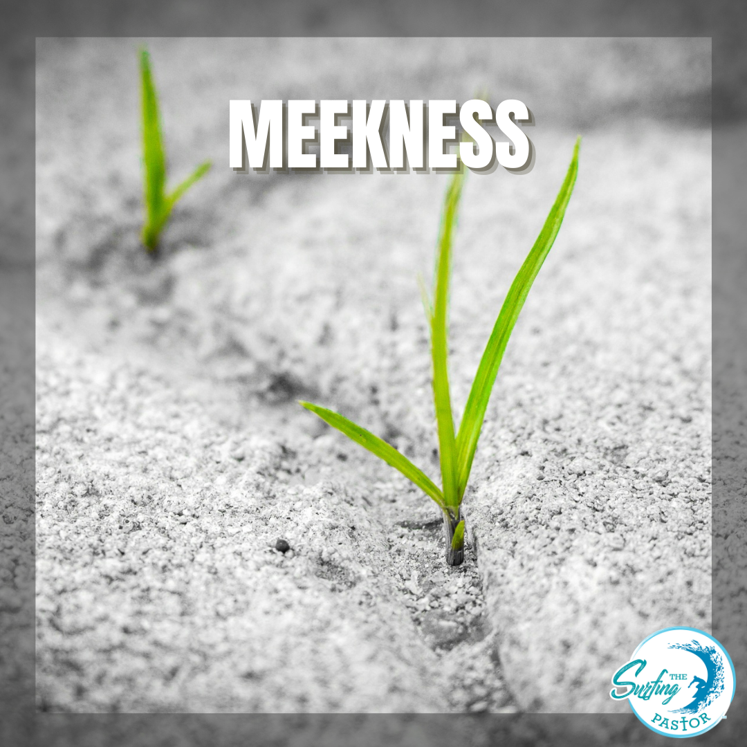 Meekness