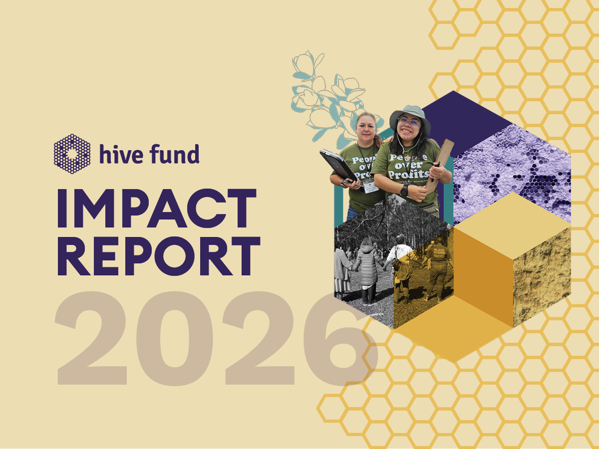 Hive Fund's 2026 Impact Report