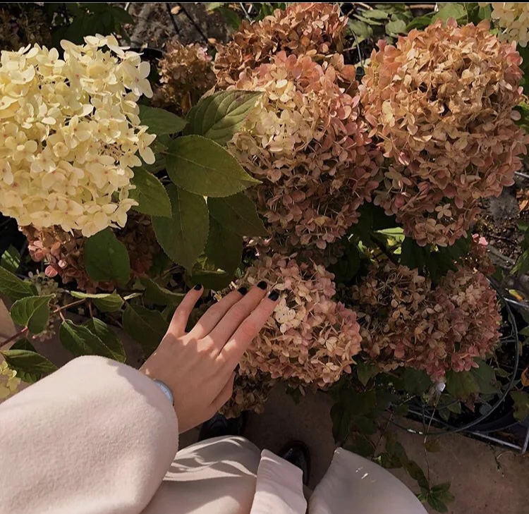 Fall vibes: best VSCO filters for your seasonal pics