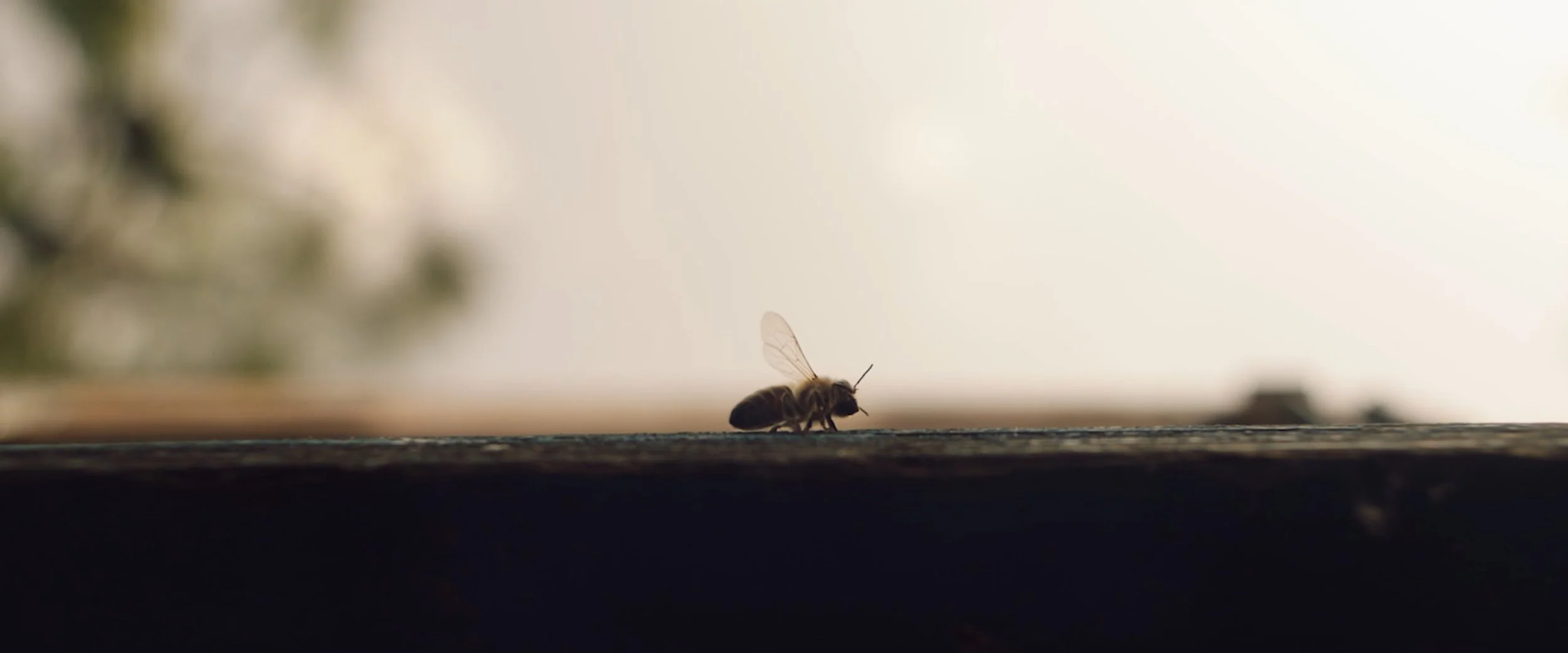 IMG_1103.jpeg