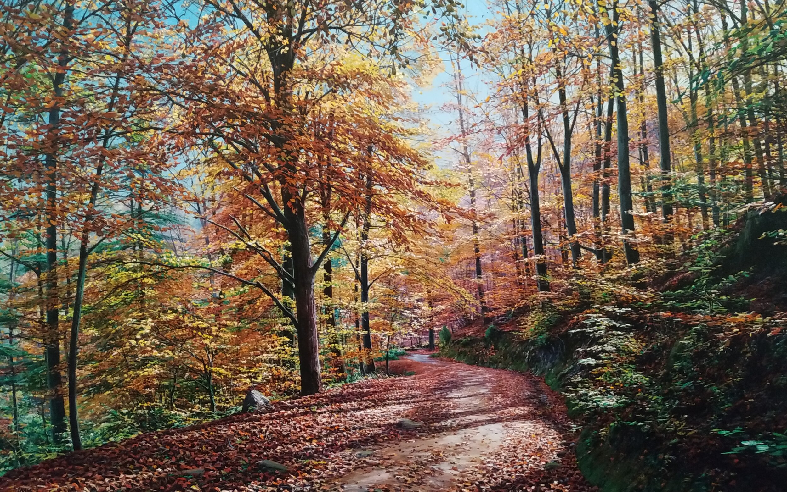 Josep M. Solà | "Tardor al Montseny" (Spain)