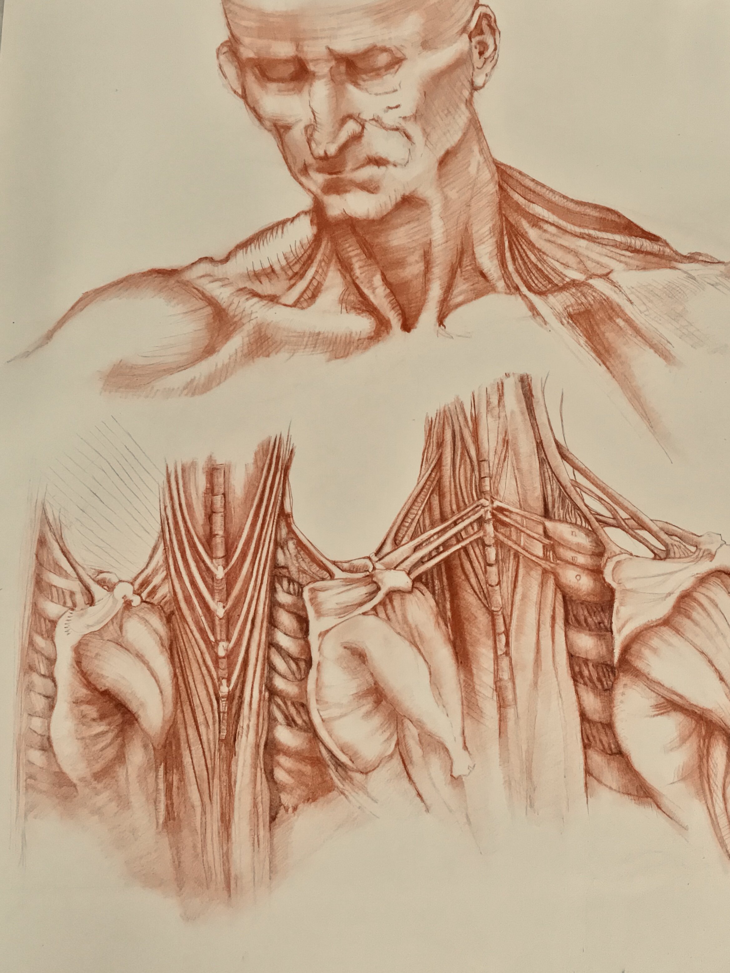 Rosslyn Duncan | "Anatomy World" (USA)