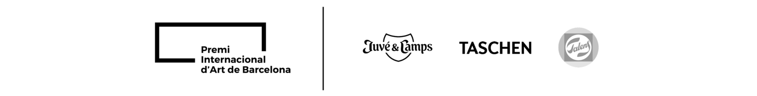PIAB+plus+SPONSOR+logos+.png