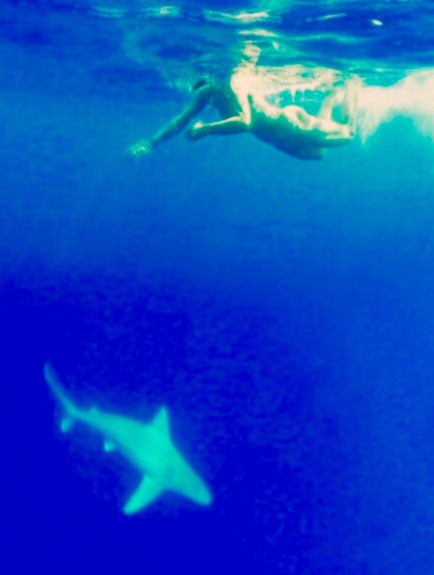 Tara Del Rey | "SWIMMING NAKED WITH SHARKS" (Argentina)