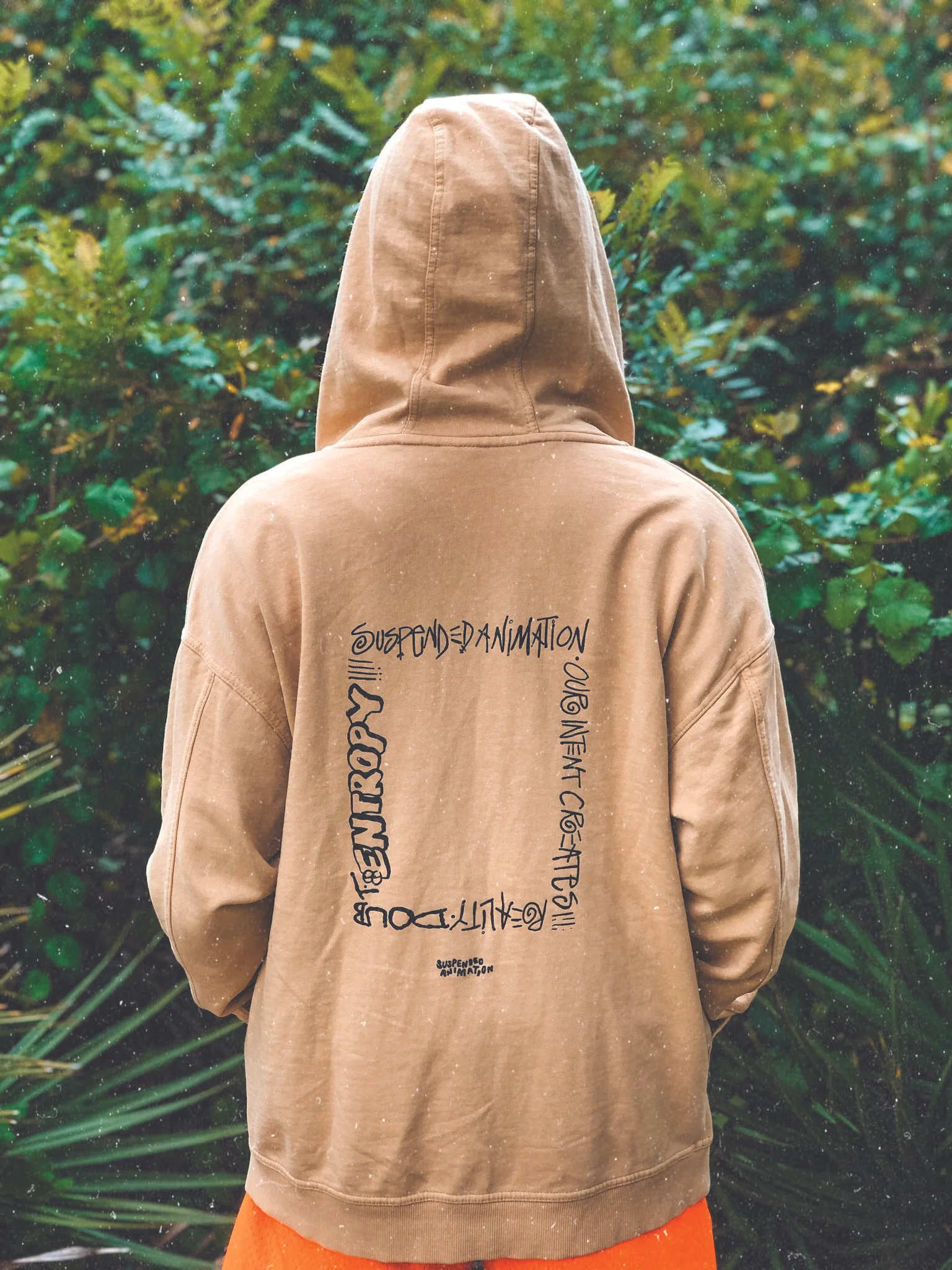 AfterlightImage 5.JPG