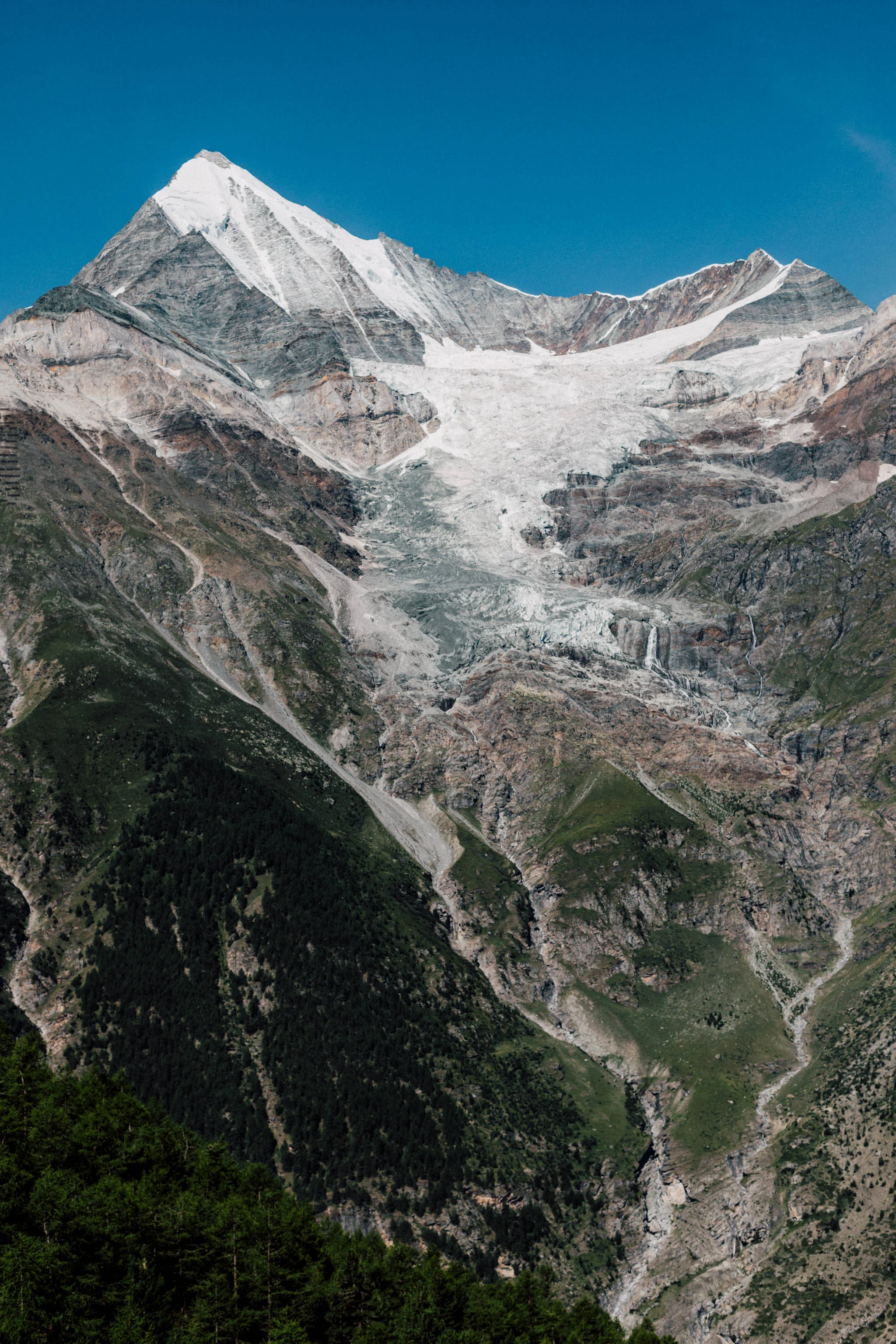 S36A8825.jpg