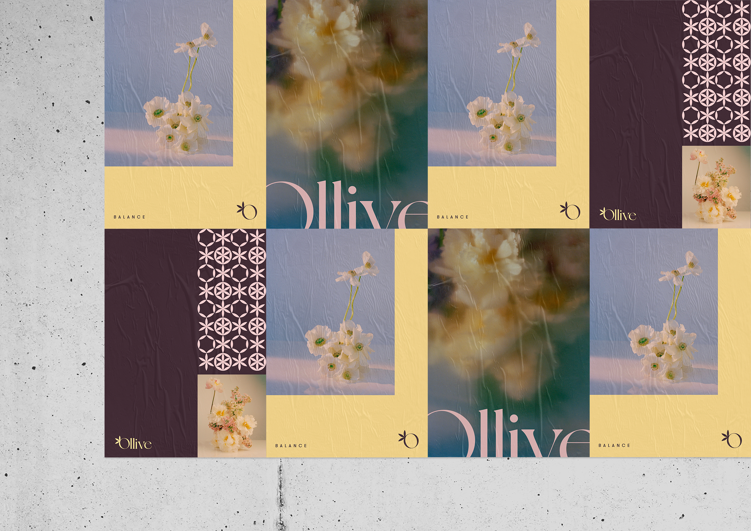 20OLL002_Ollive_WildPosting3 (1).png