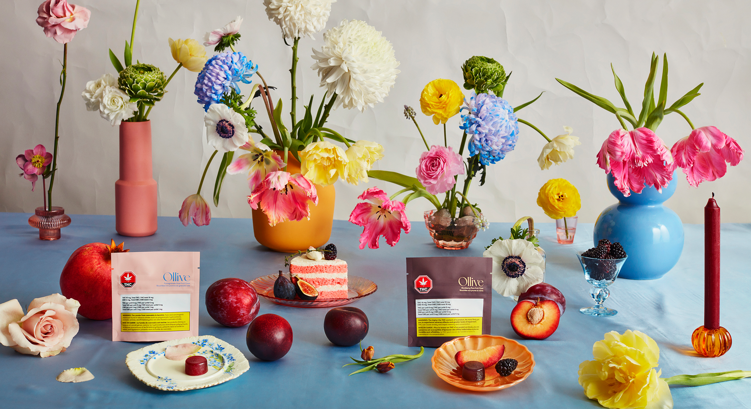 OBi Webcase_Ollive full bleed (1).png