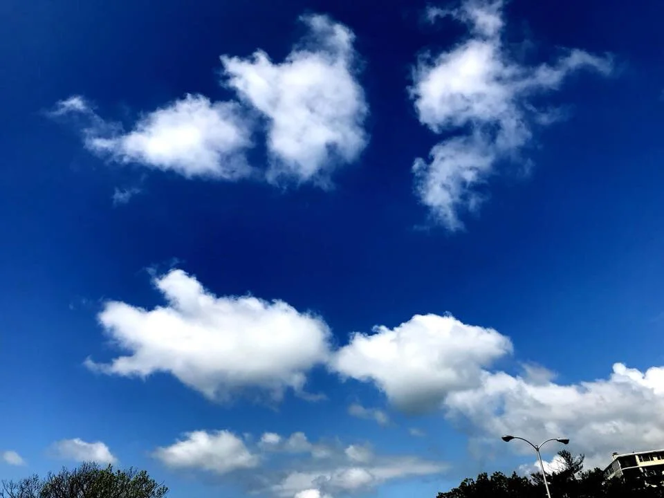 yorky-cloud.jpg