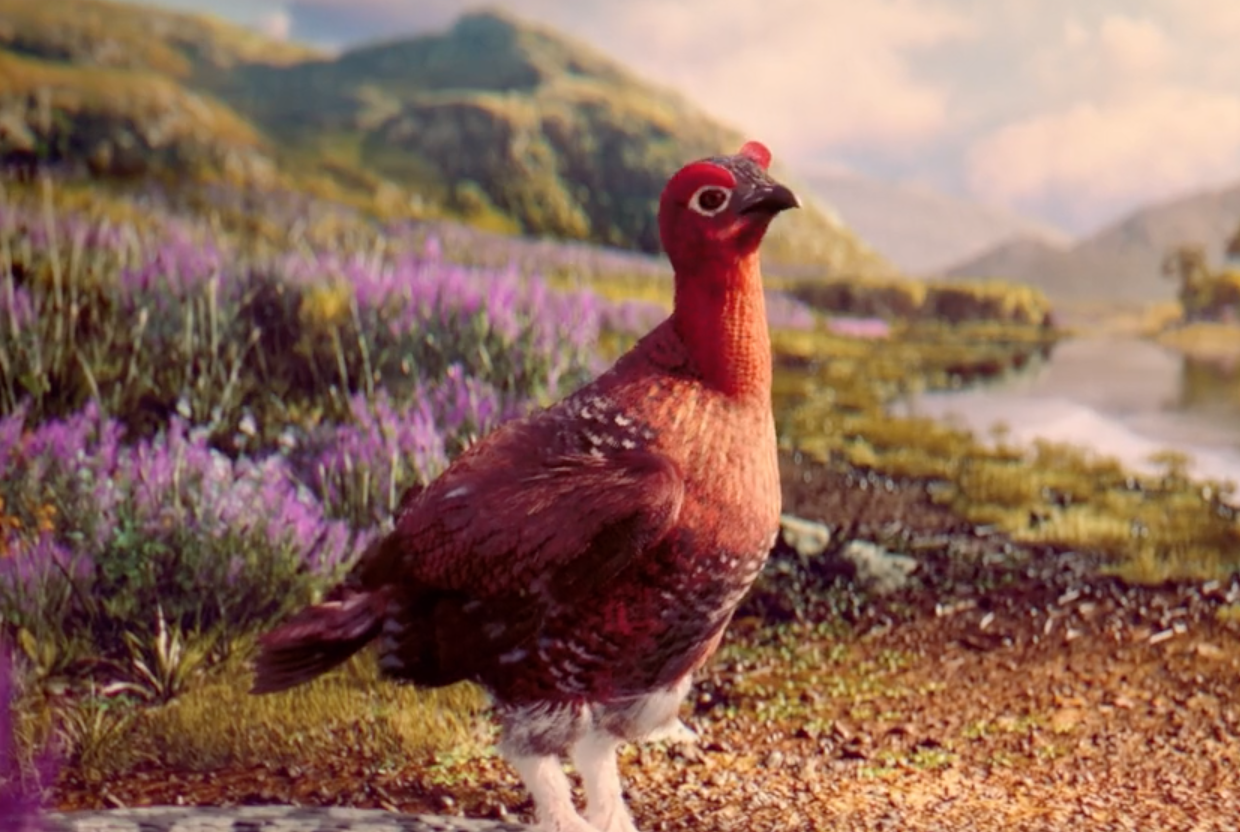 Screenshot 2019-09-03 at 11.49.24.png