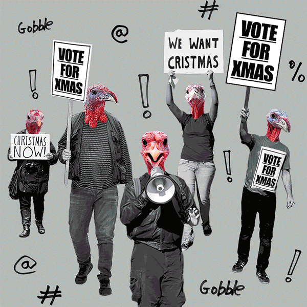 Turke-christmas-reduced.gif
