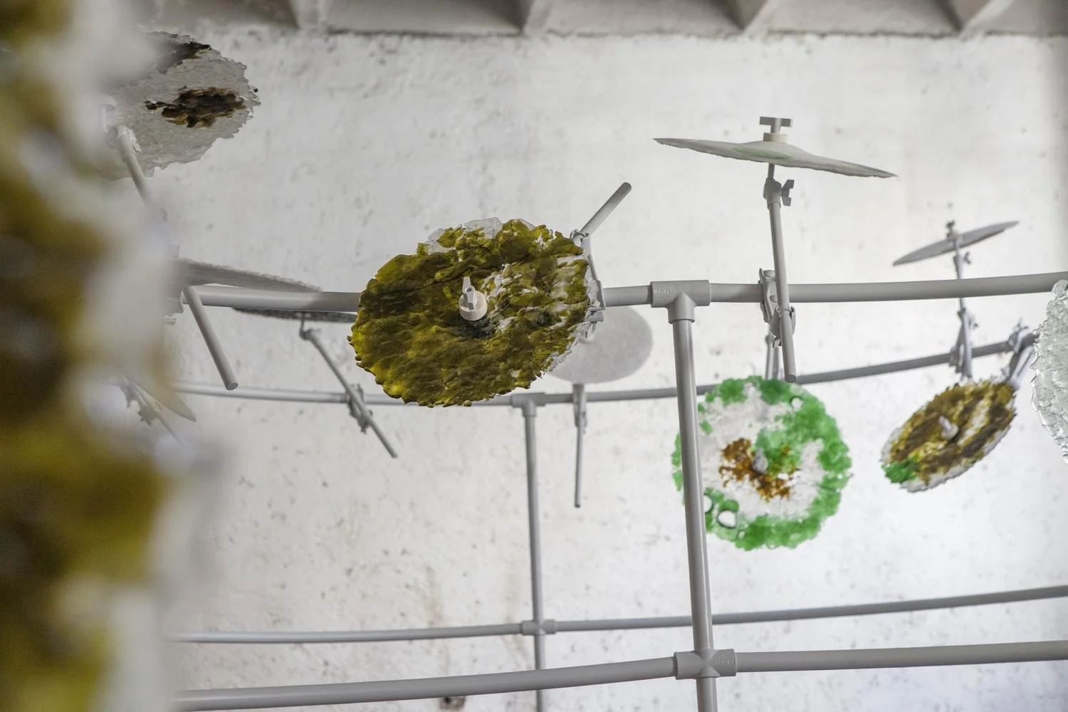 Glasdrum_050925-11.jpg