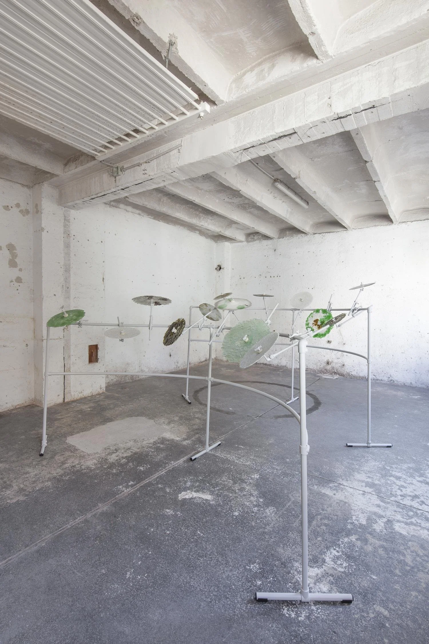 Glasdrum_050925-44.jpg