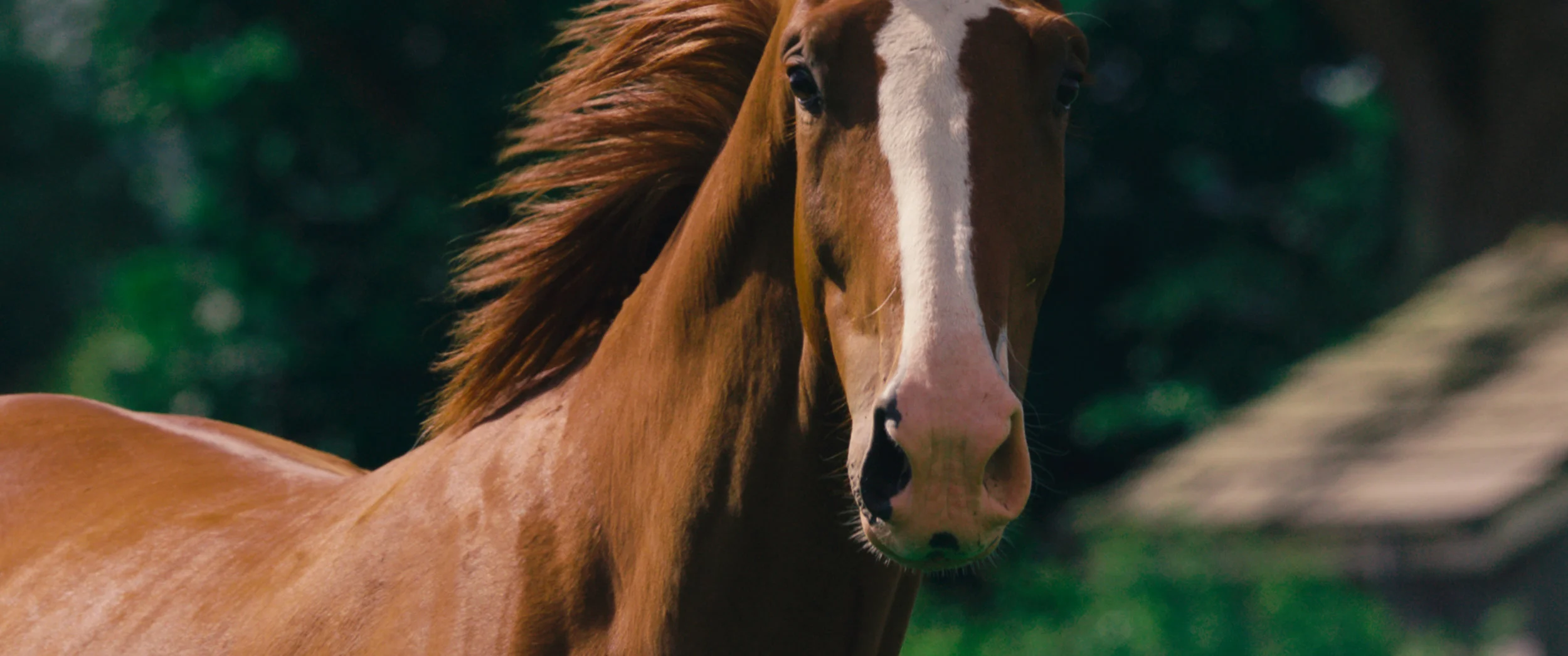 Lost_Lives_Still_11 copy.jpeg