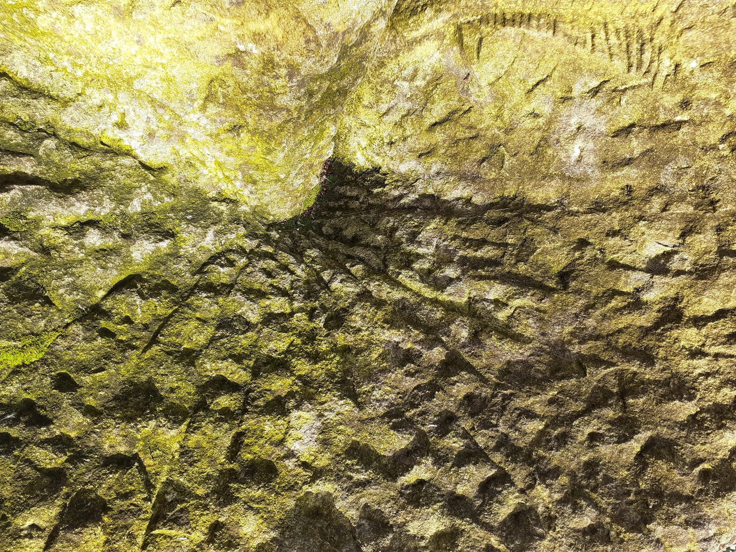 Radipole stone 1.jpg